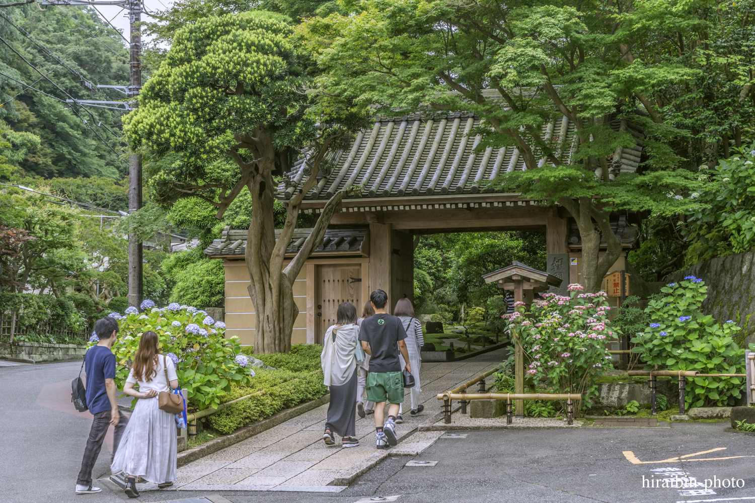 報國寺_photolog.87