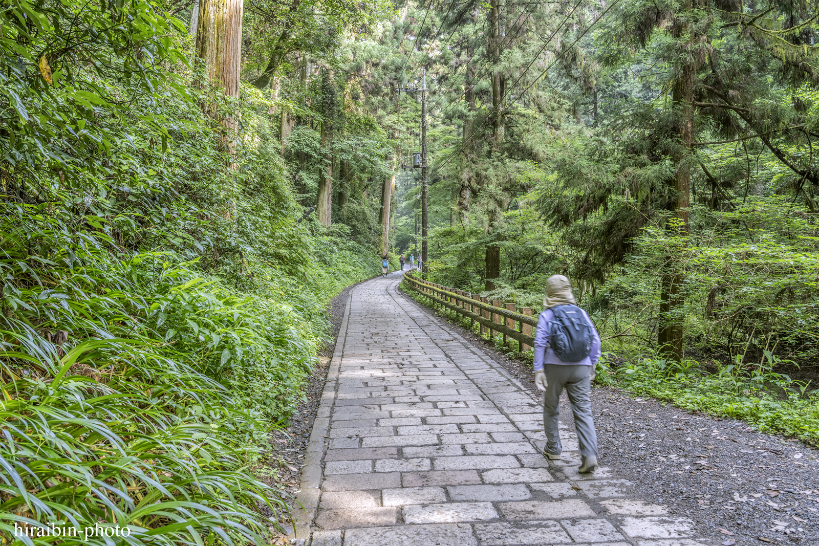 高尾山_photolog.21