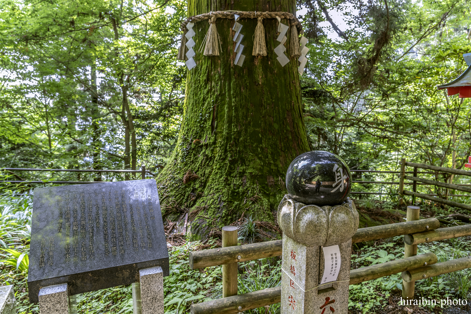 高尾山_photolog.84