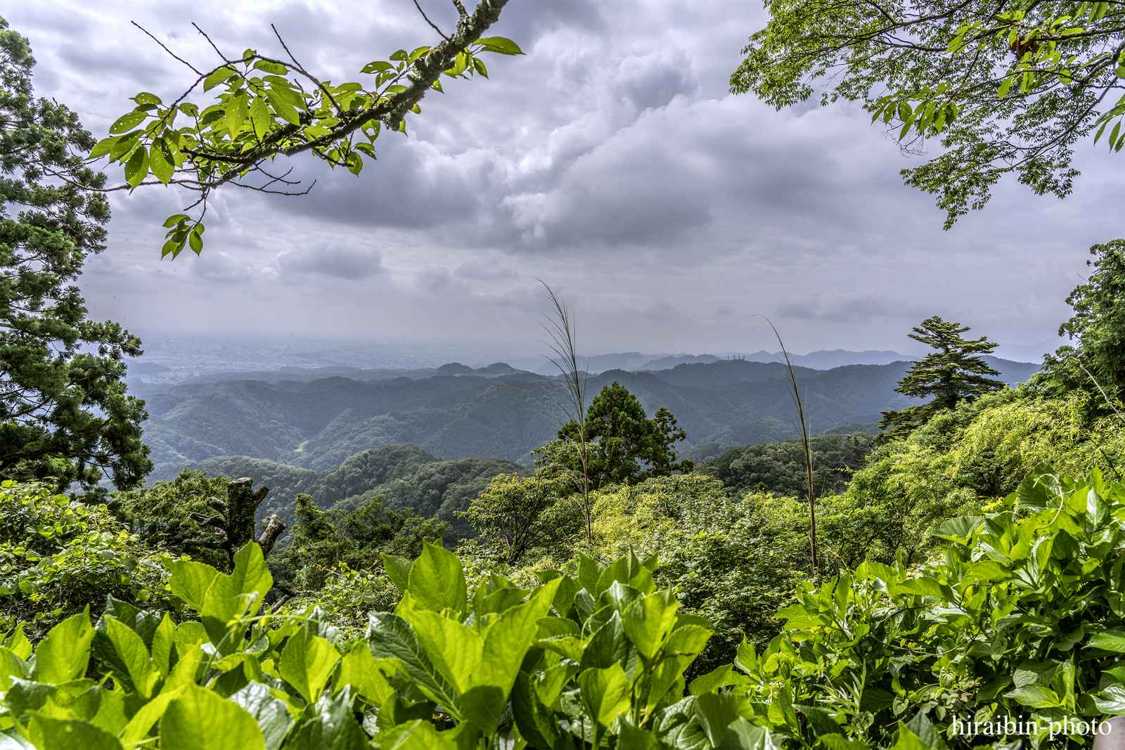 高尾山_photolog.118