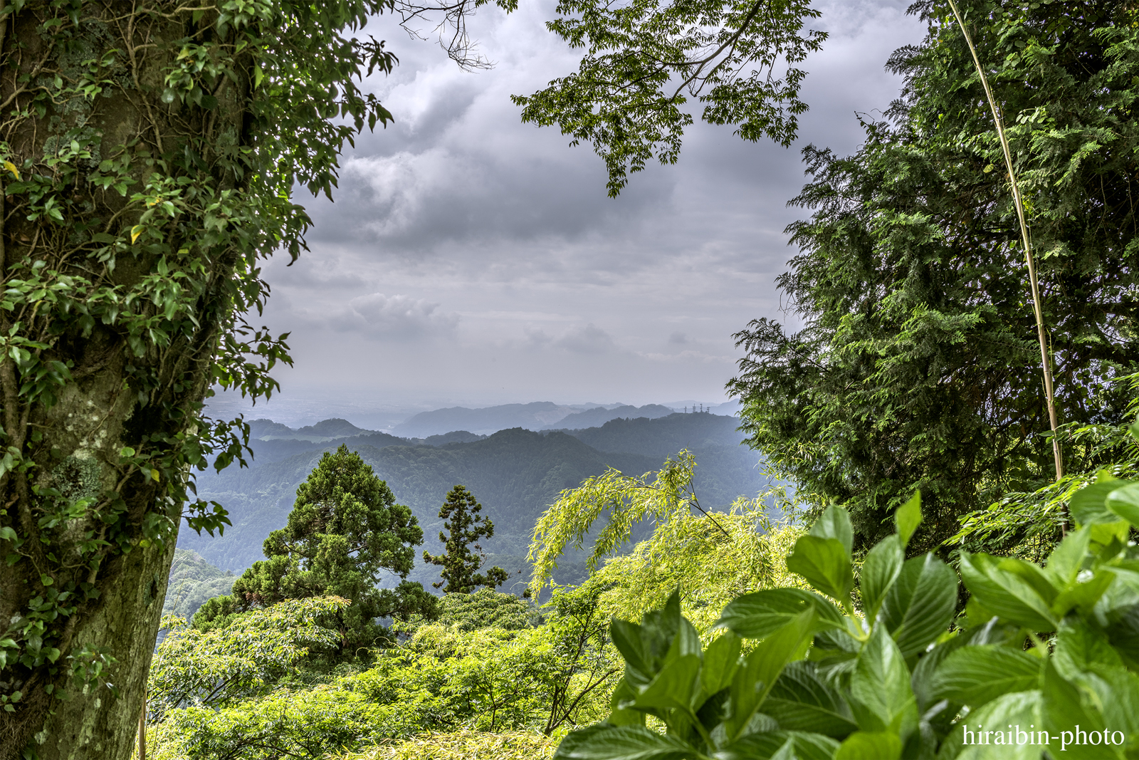 高尾山_photolog.119