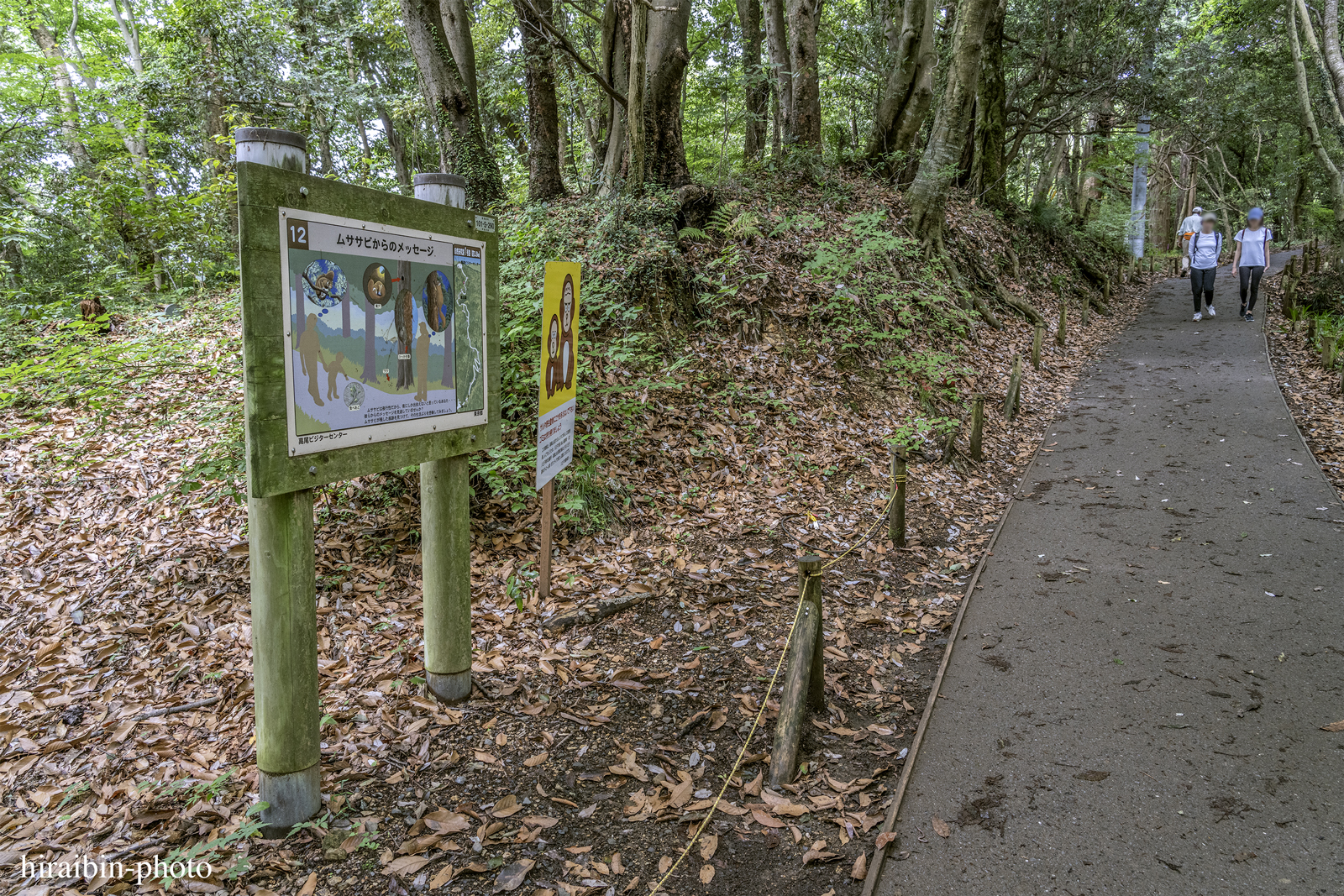 高尾山_photolog.175