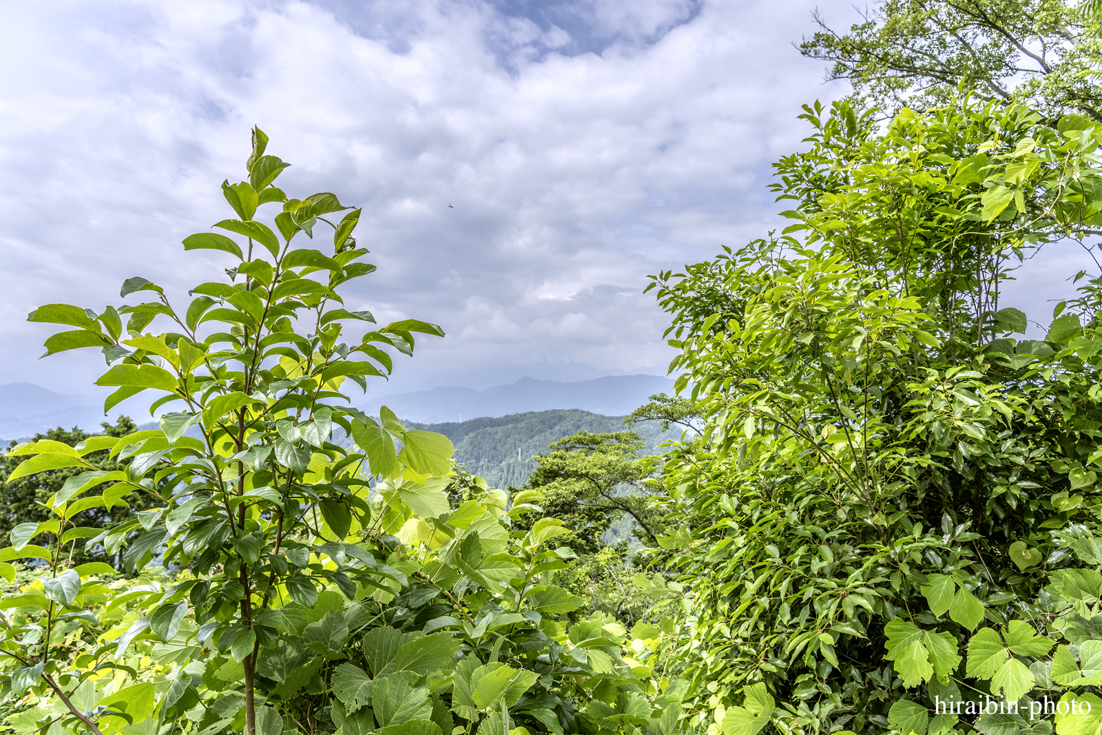 高尾山_photolog.208