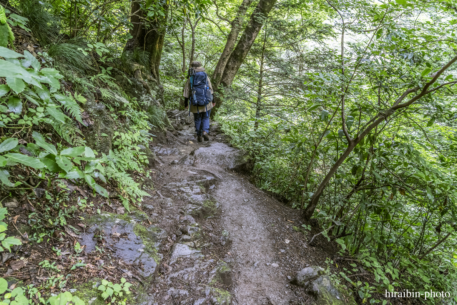 高尾山_photolog.241