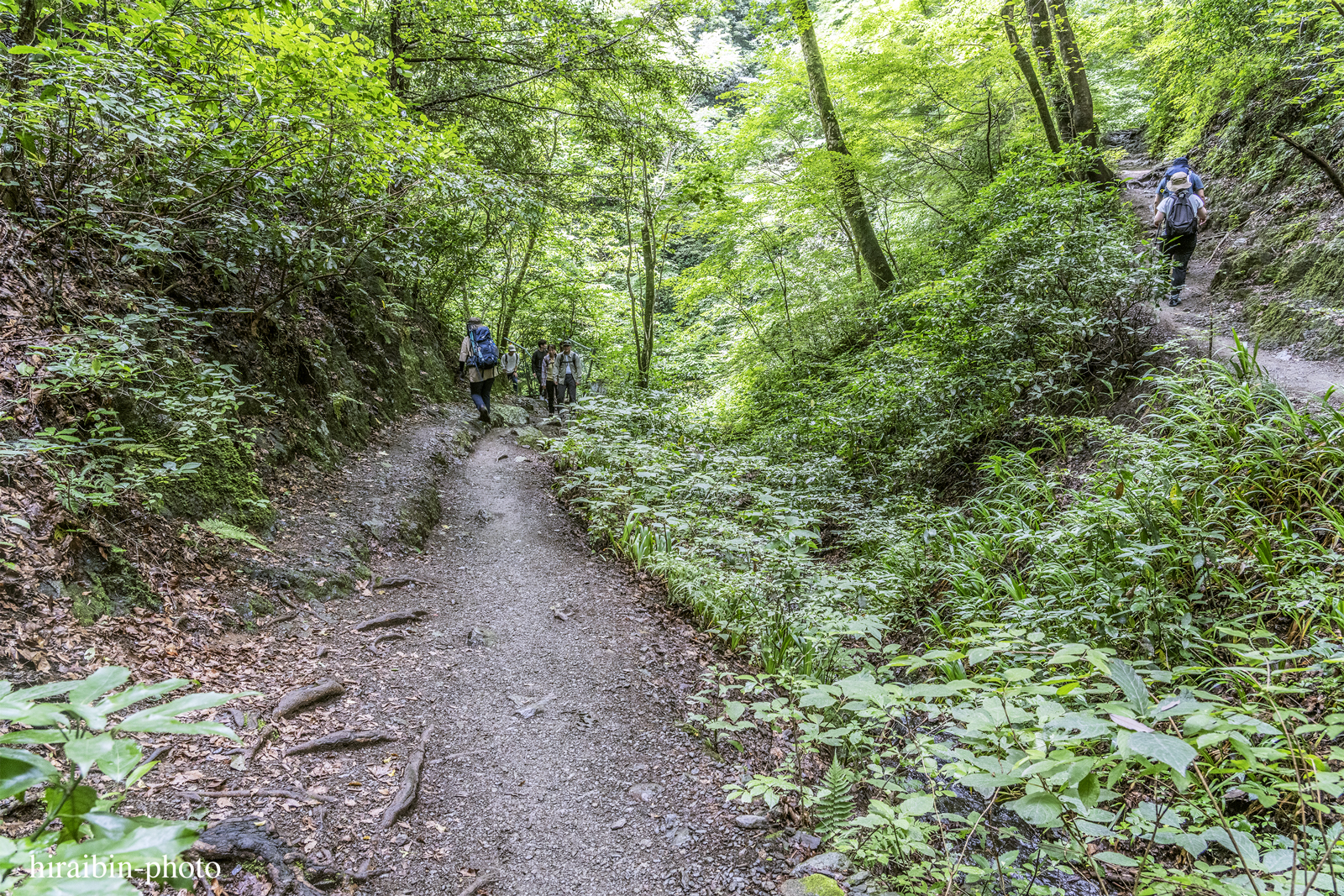 高尾山_photolog.245