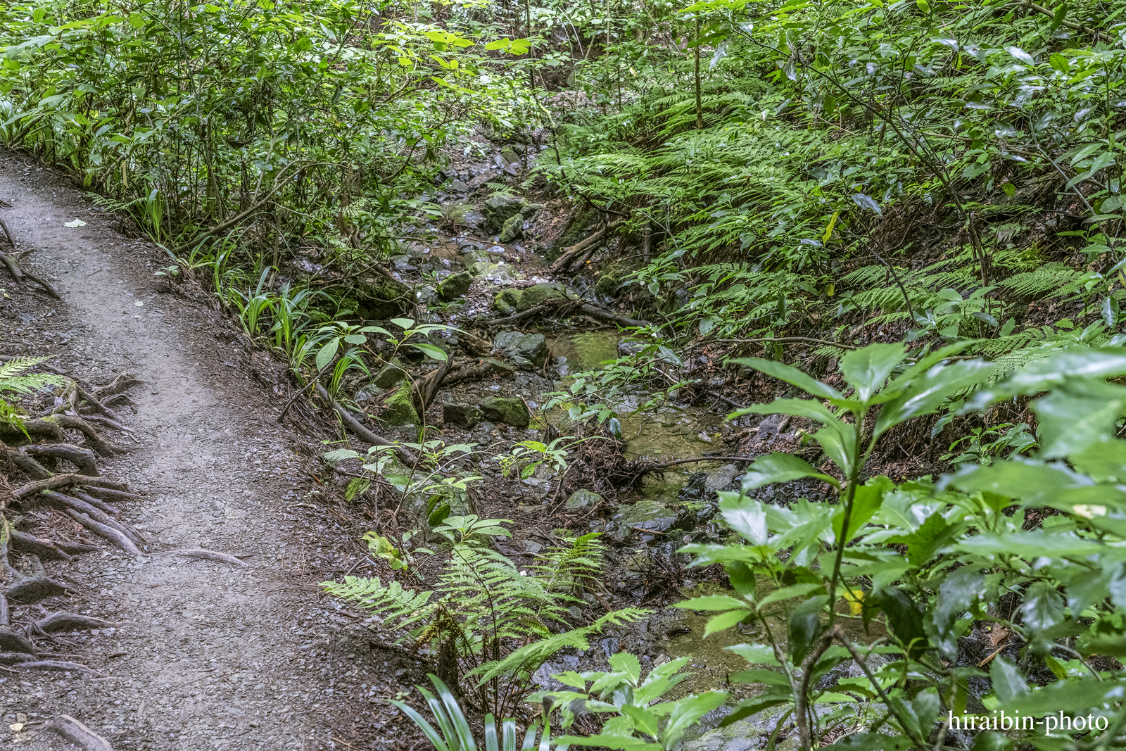 高尾山_photolog.249