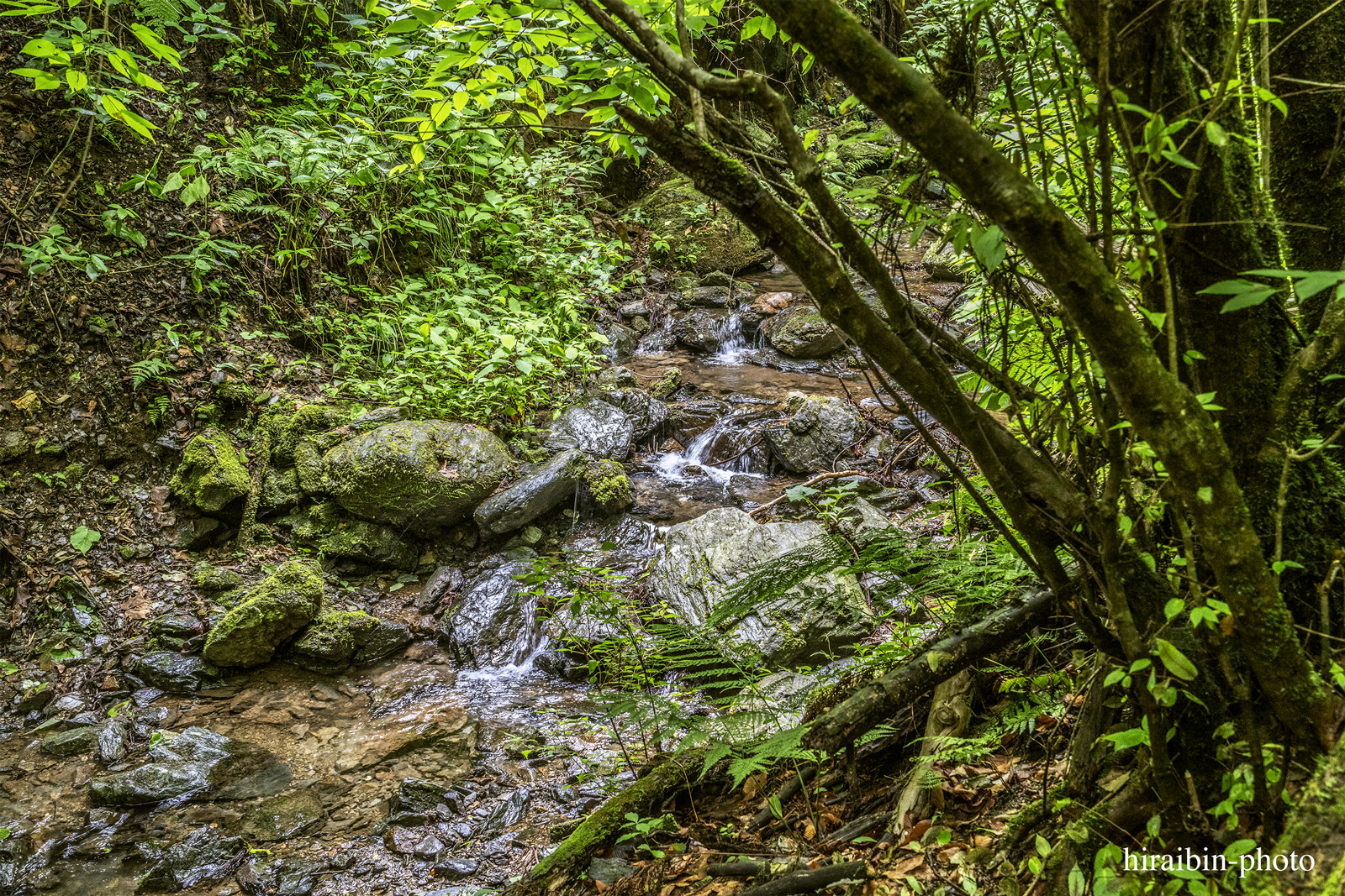 高尾山_photolog.251