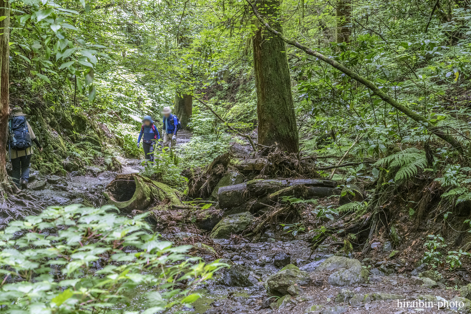 高尾山_photolog.252