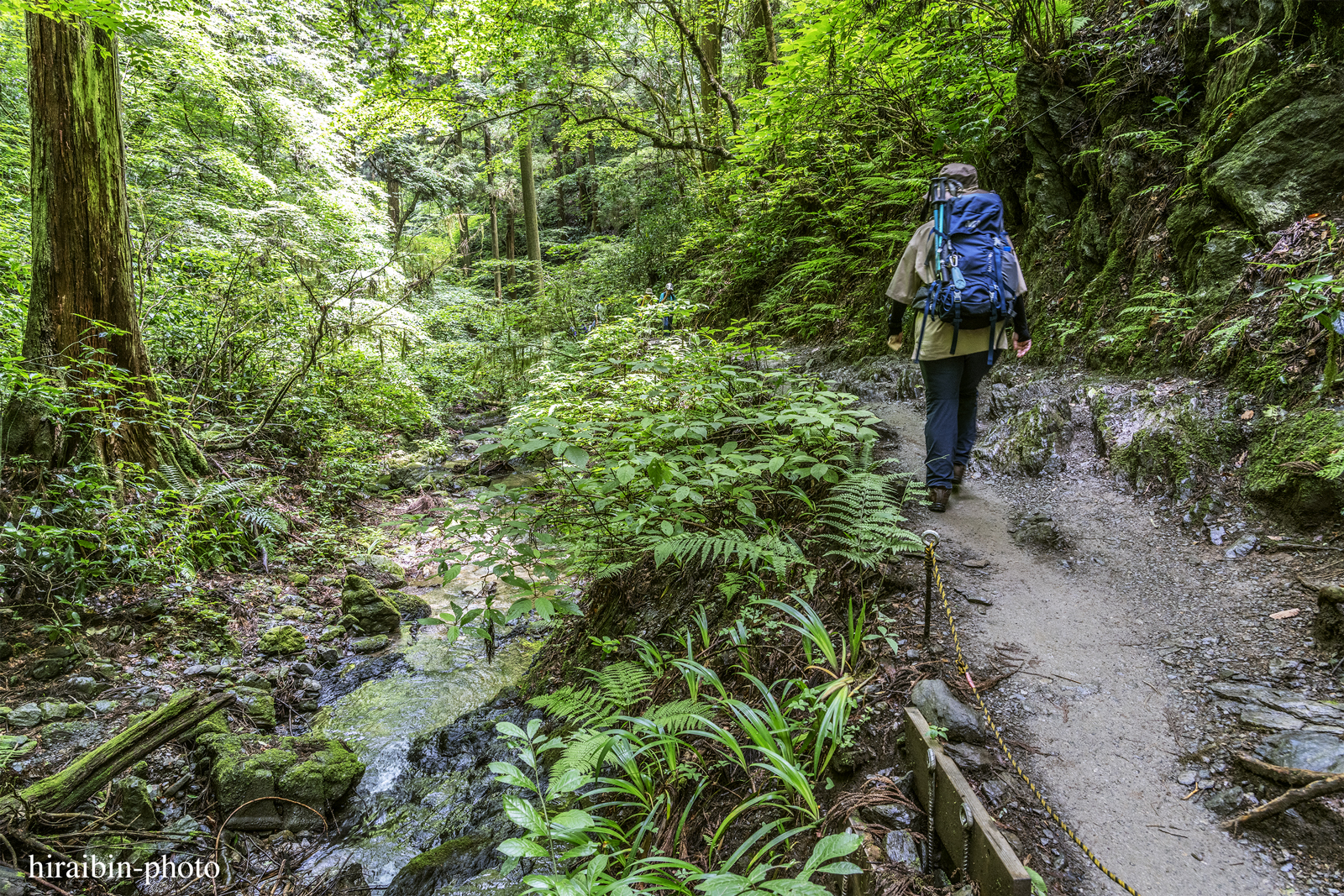 高尾山_photolog.262