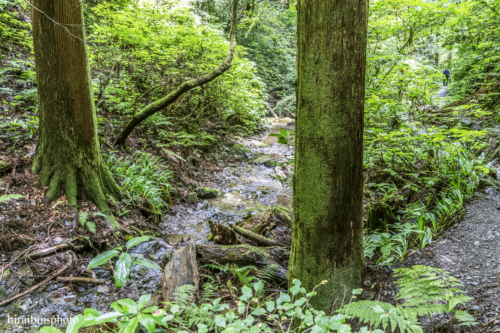 高尾山_photolog.263