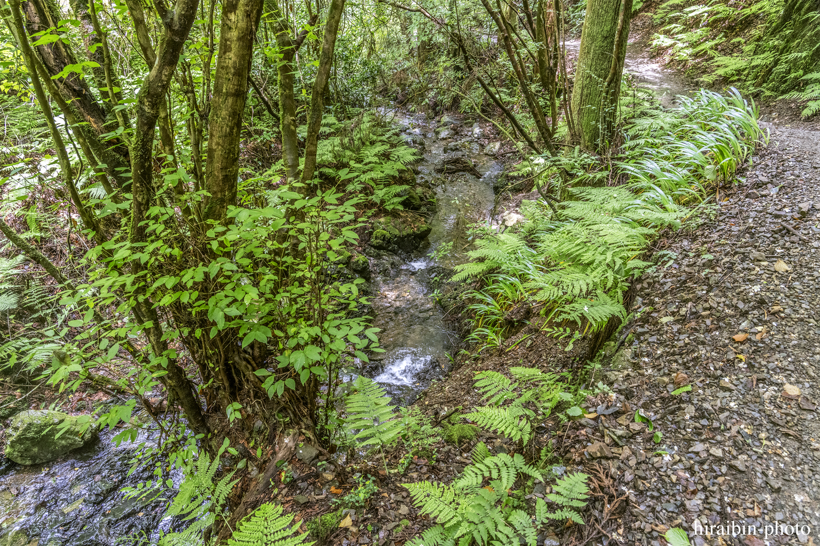 高尾山_photolog.269