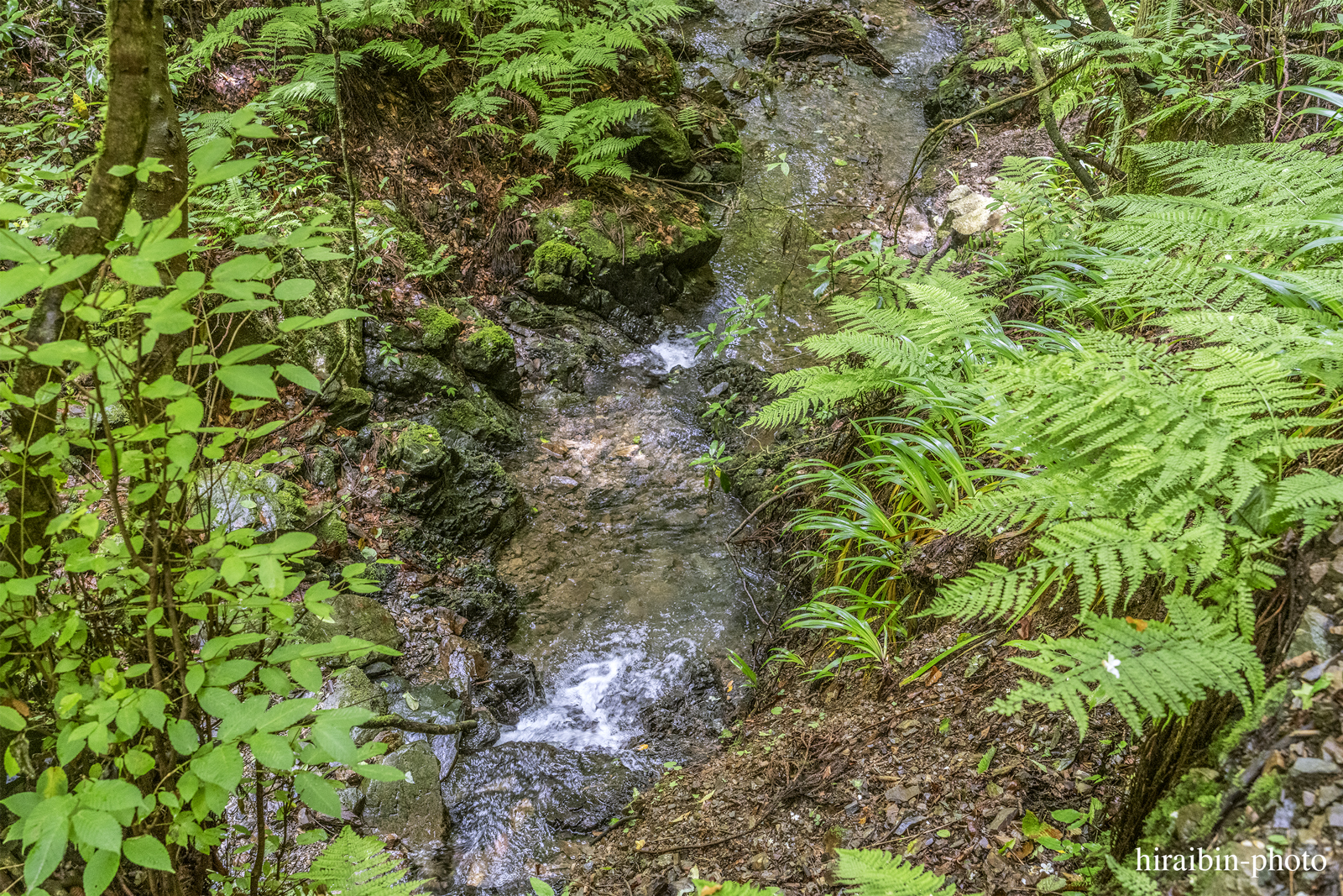 高尾山_photolog.271