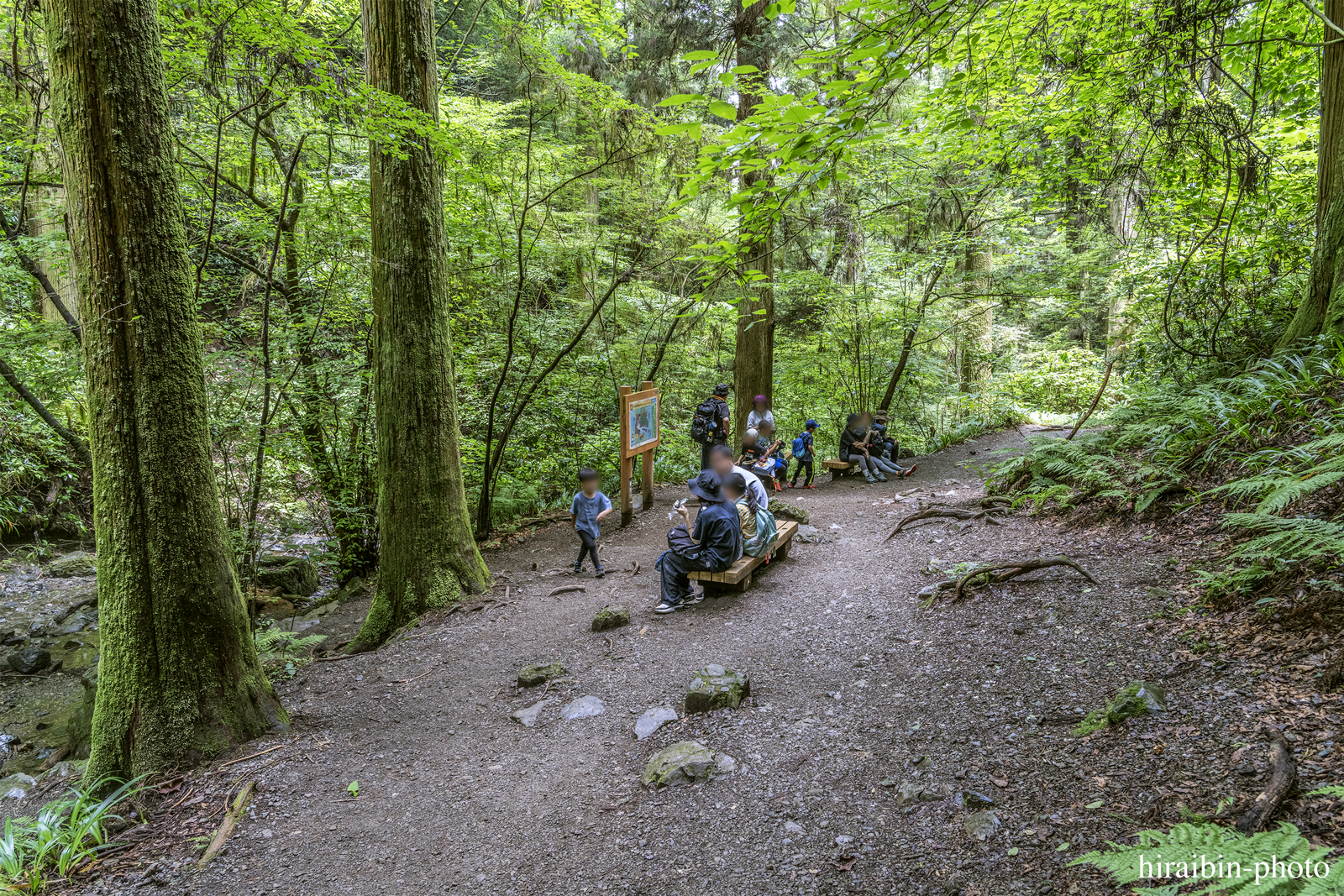 高尾山_photolog.274