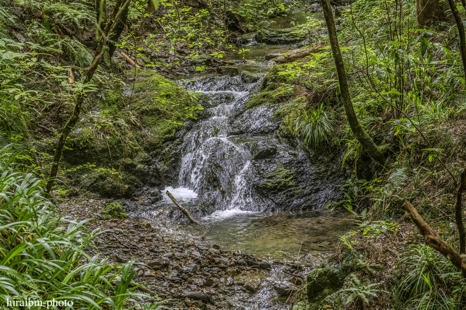 高尾山_photolog.299