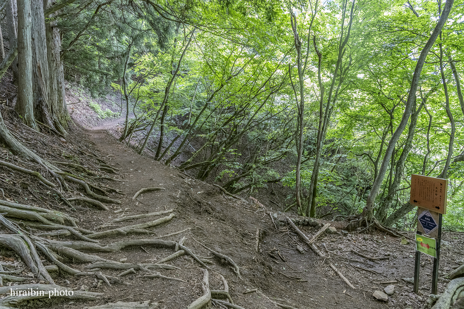 雲取山_photolog.13