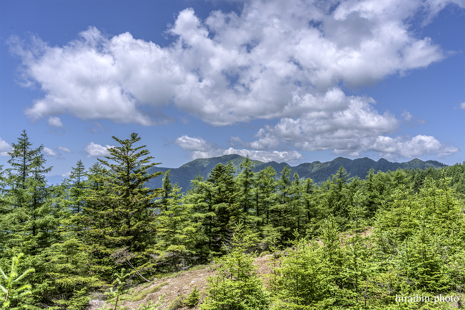 雲取山_photolog.39