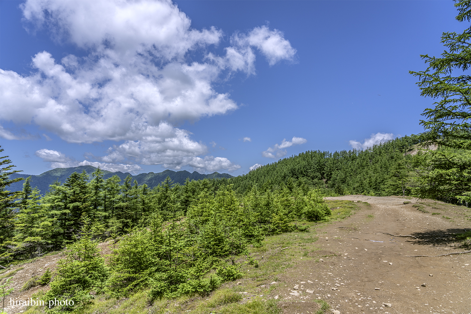 雲取山_photolog.40