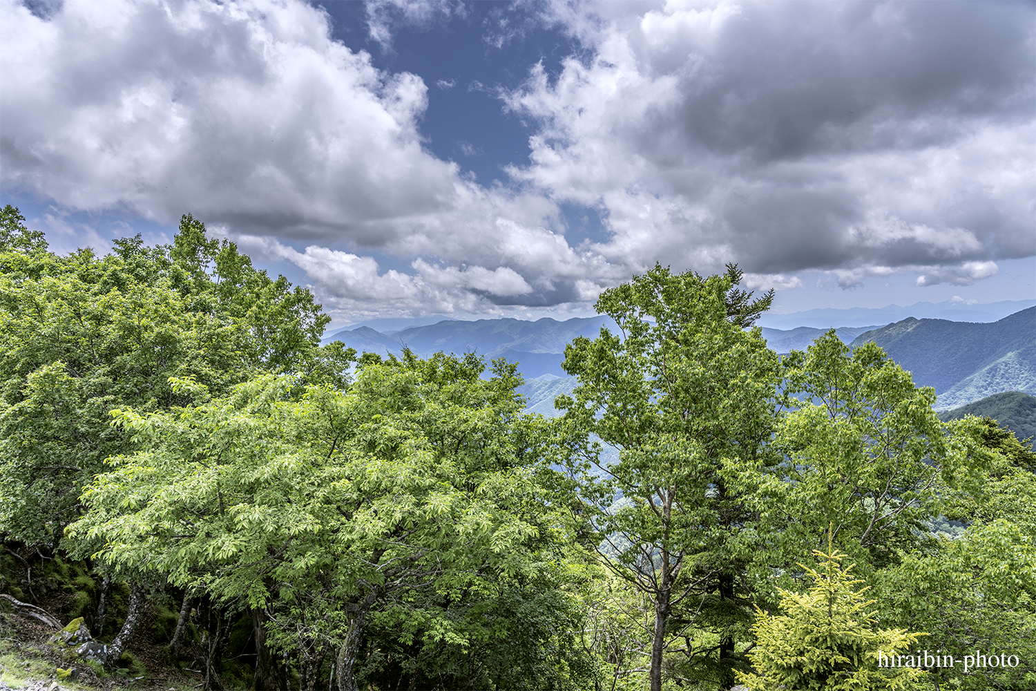 雲取山_photolog.73