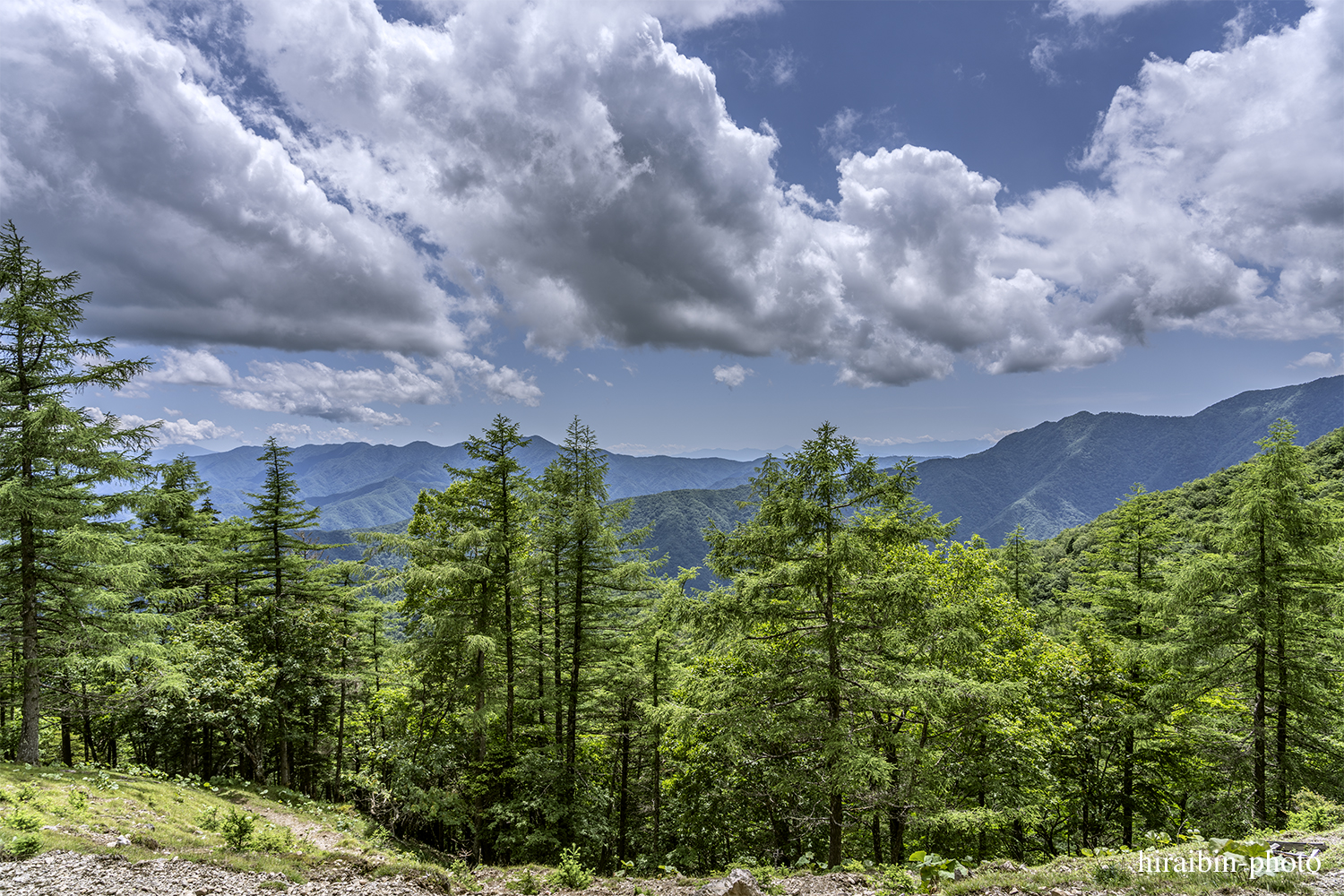 雲取山_photolog.112