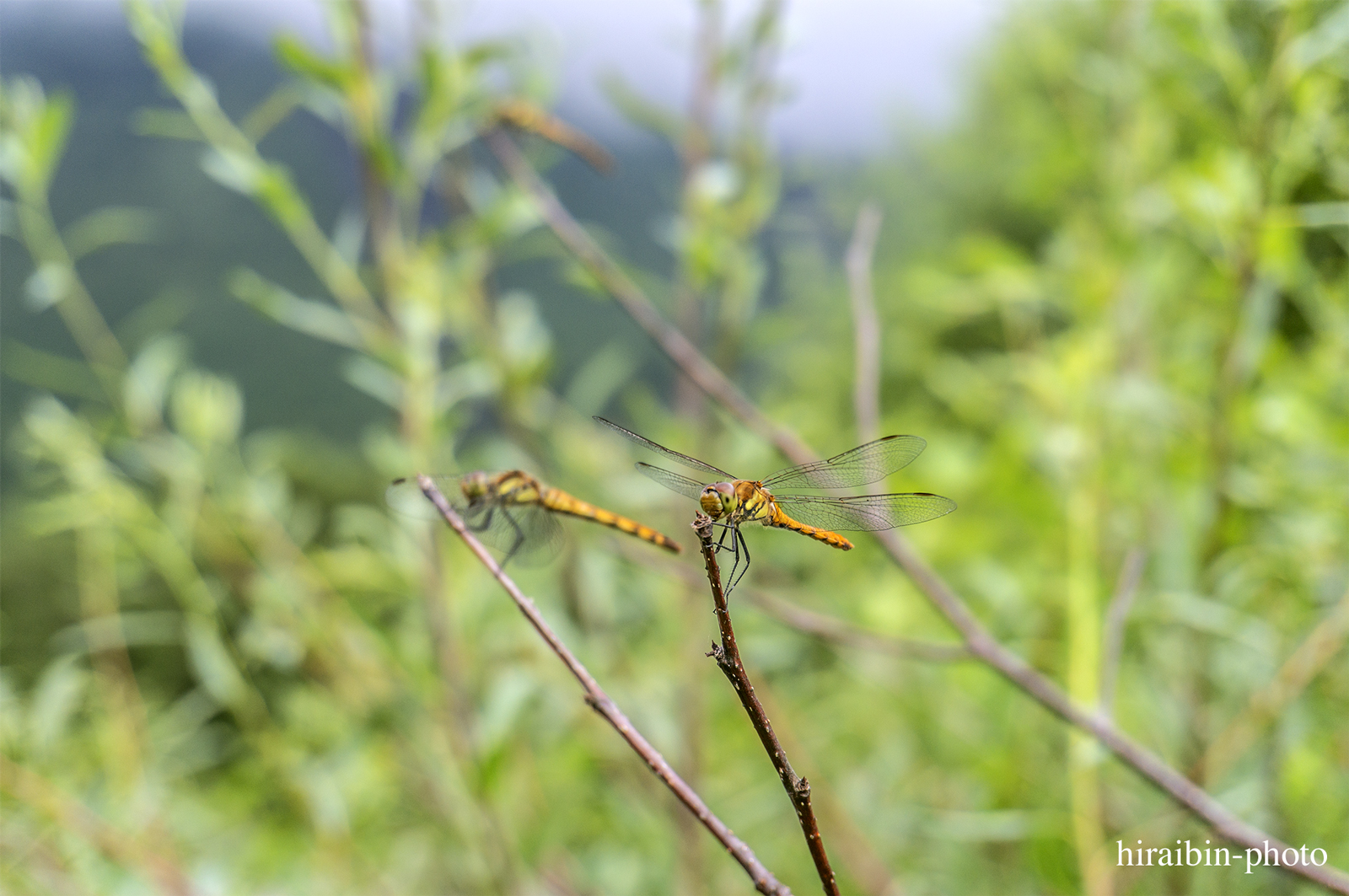 上高地_photolog.27c