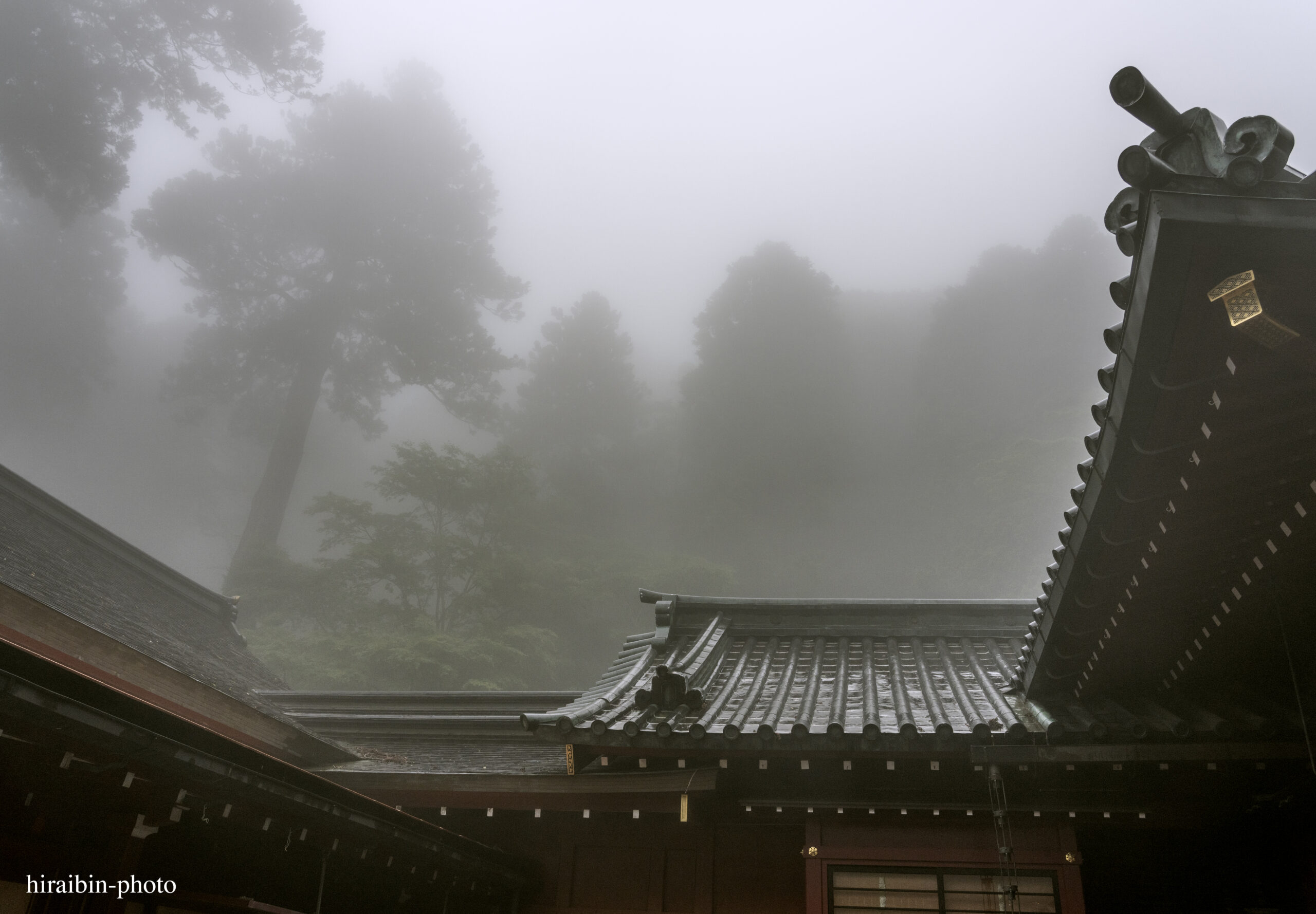 霧雨の神社/フルサイズのカメラで撮影