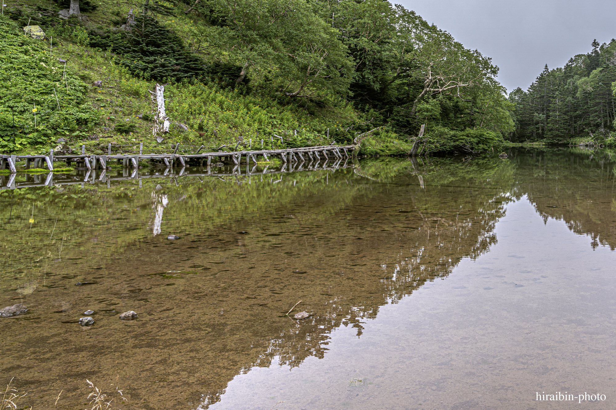 日光白根山_photolog.47