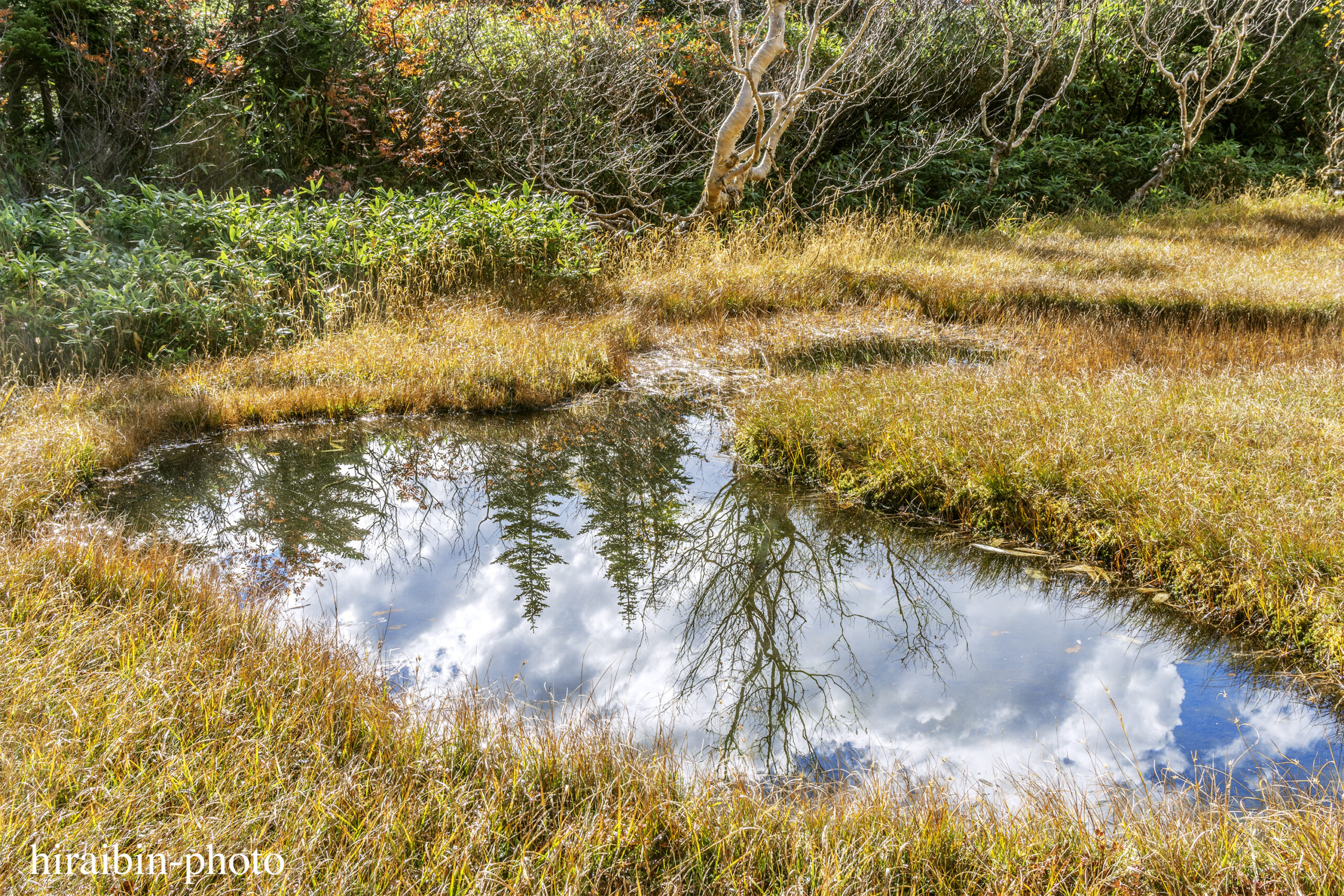 2018.10.06_栂池自然園.14