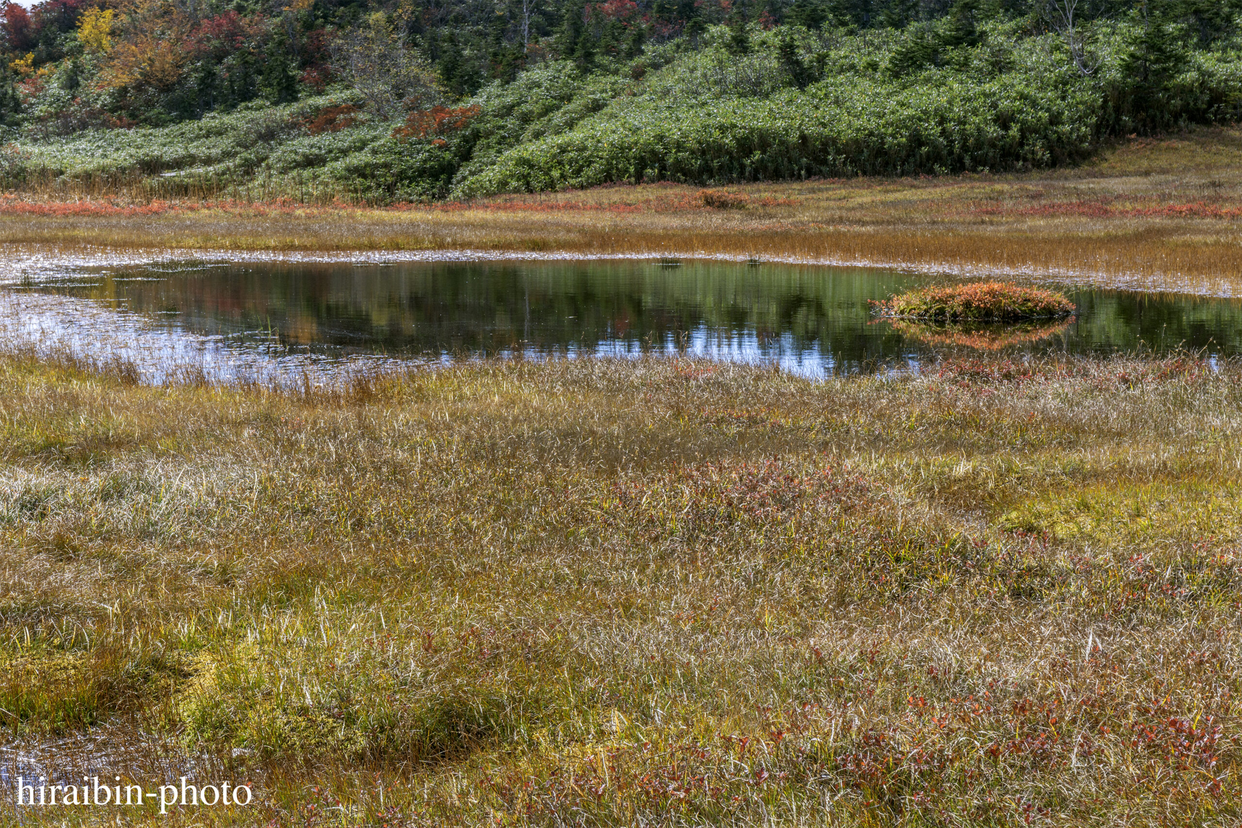 2018.10.06_栂池自然園.46