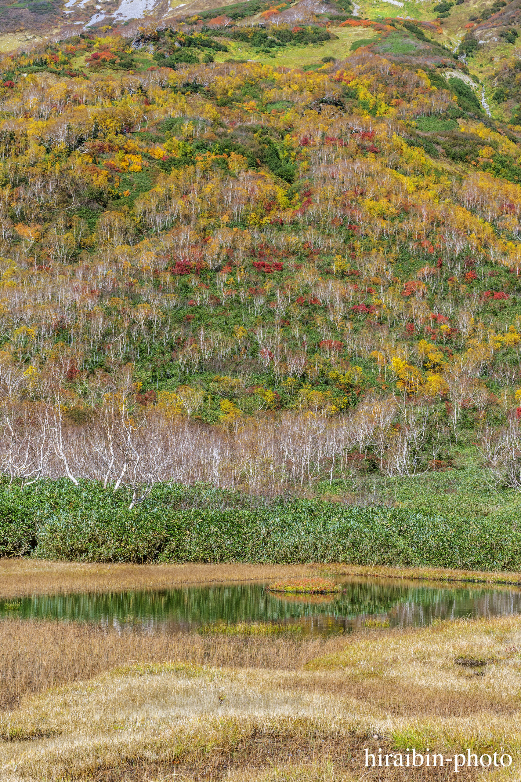 2018.10.06_栂池自然園.48