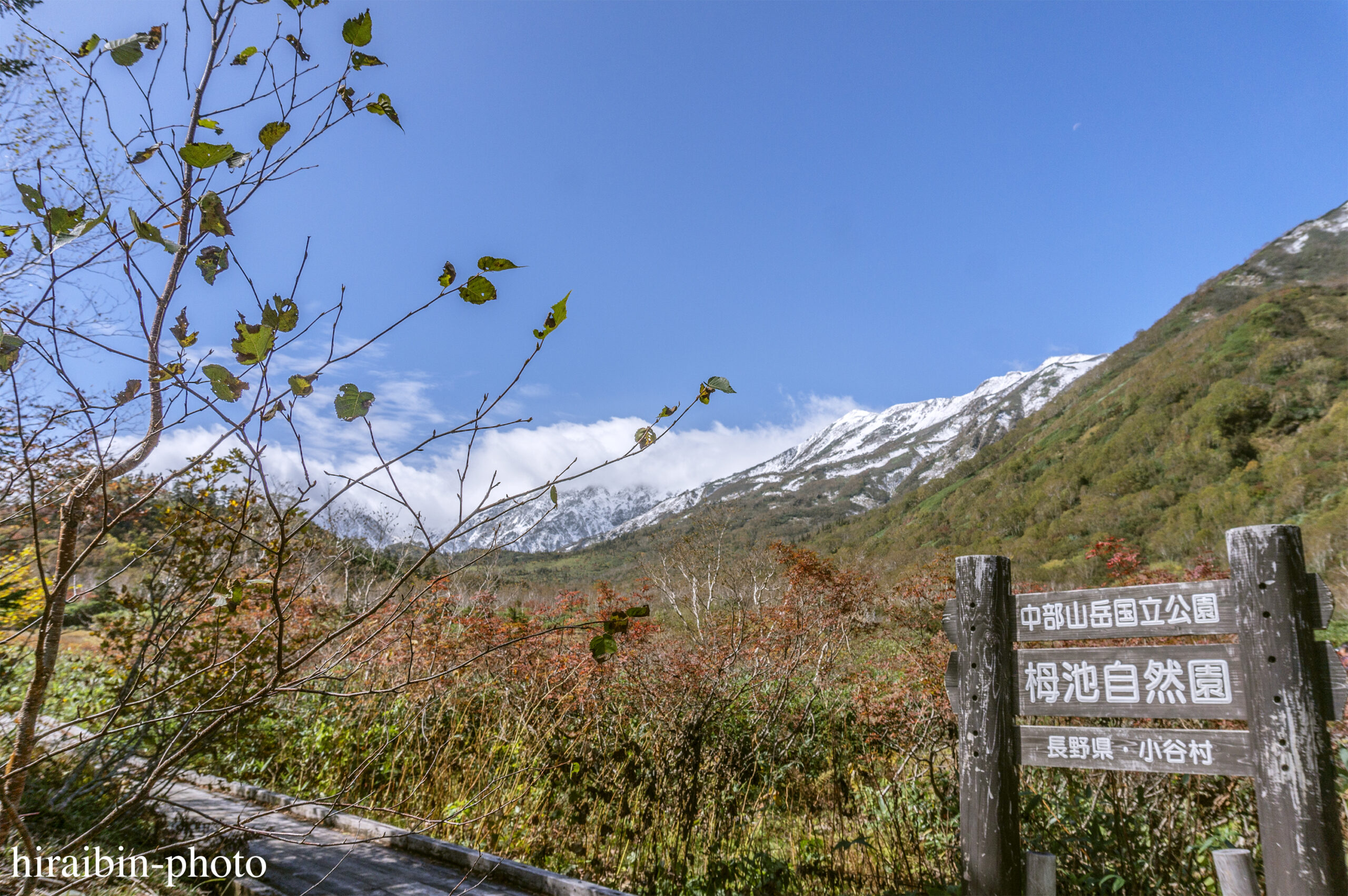 2023.10.7_栂池自然園.04