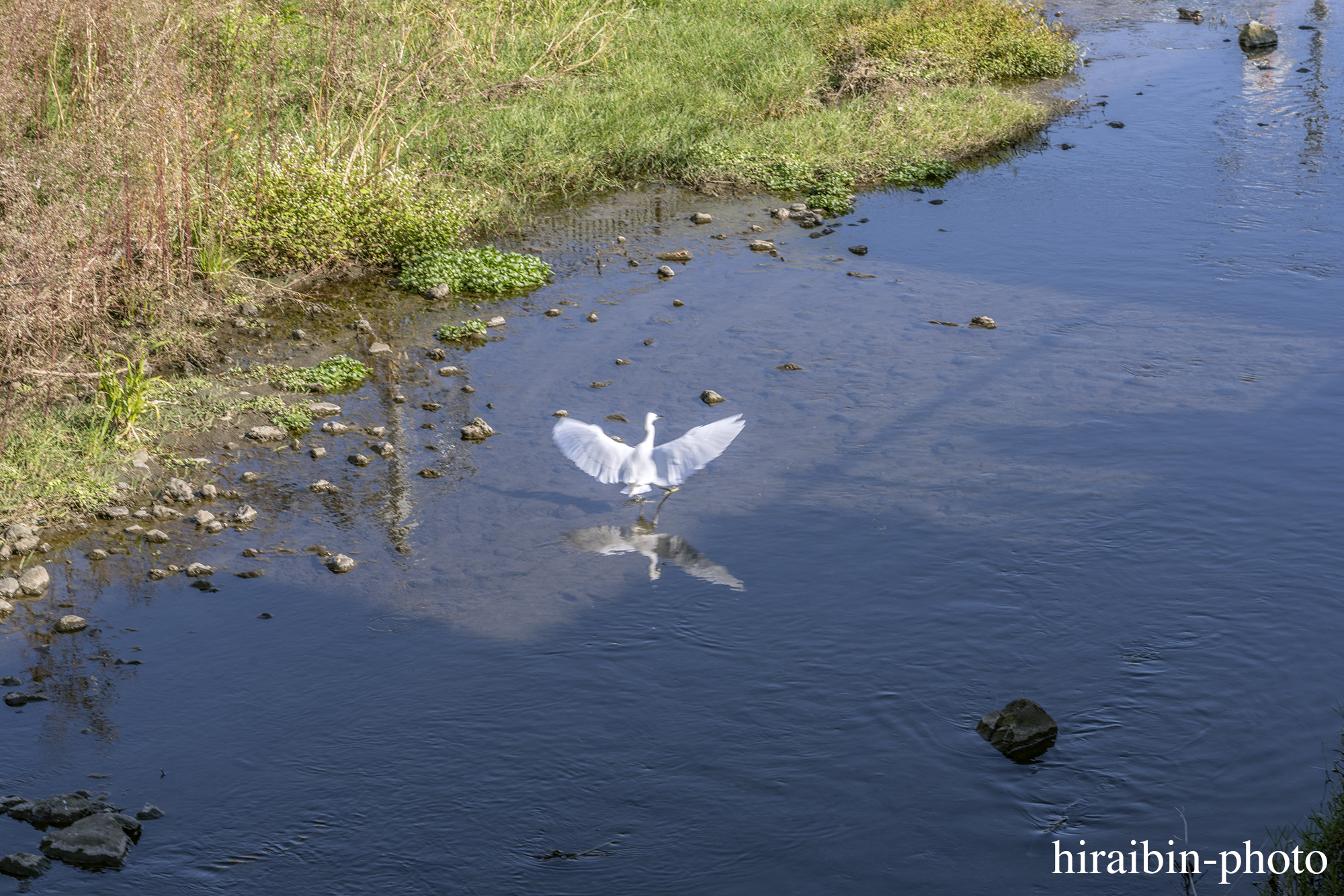 さんぽphotolog.1102-01