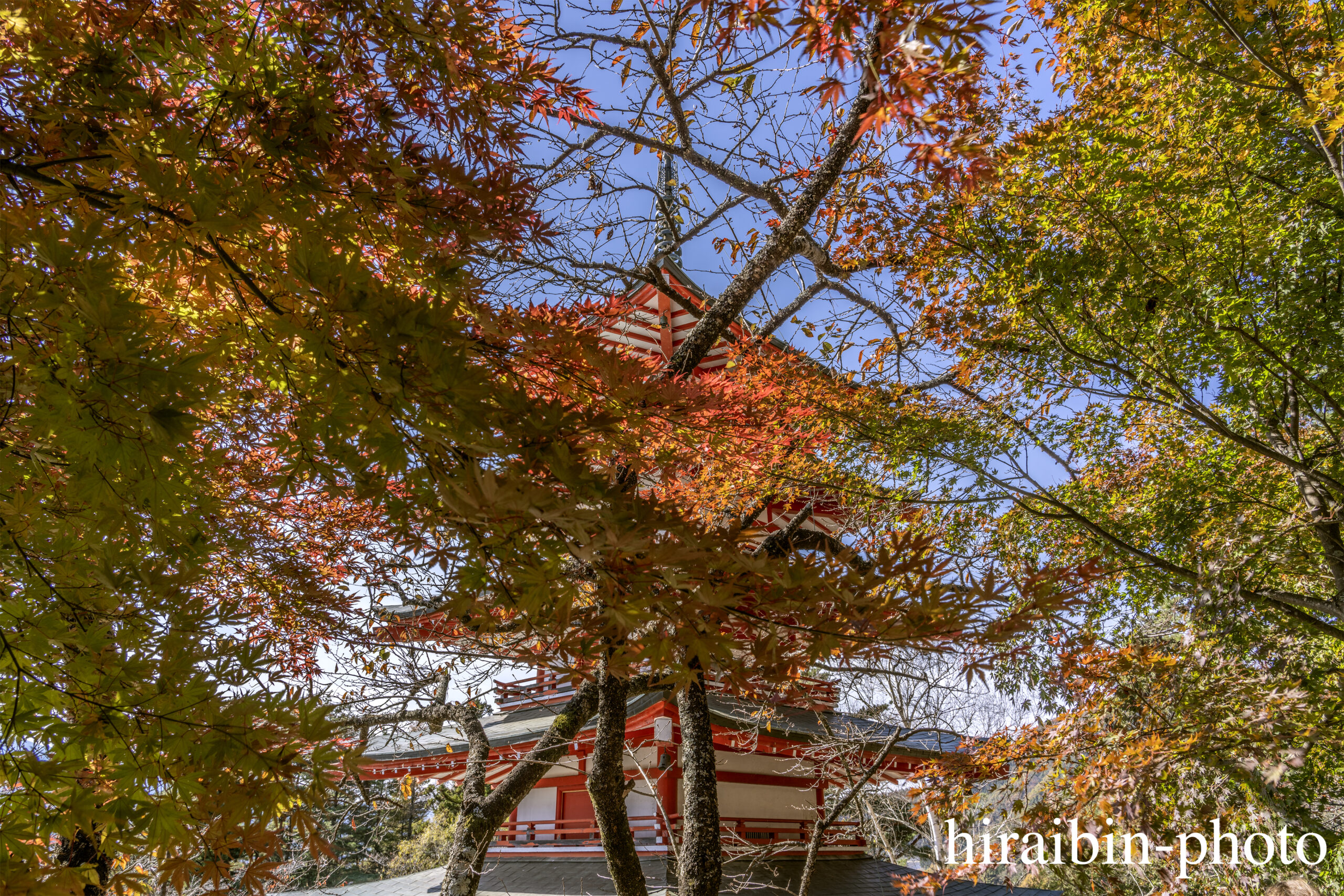 2023.11.16_新倉浅間神社.14