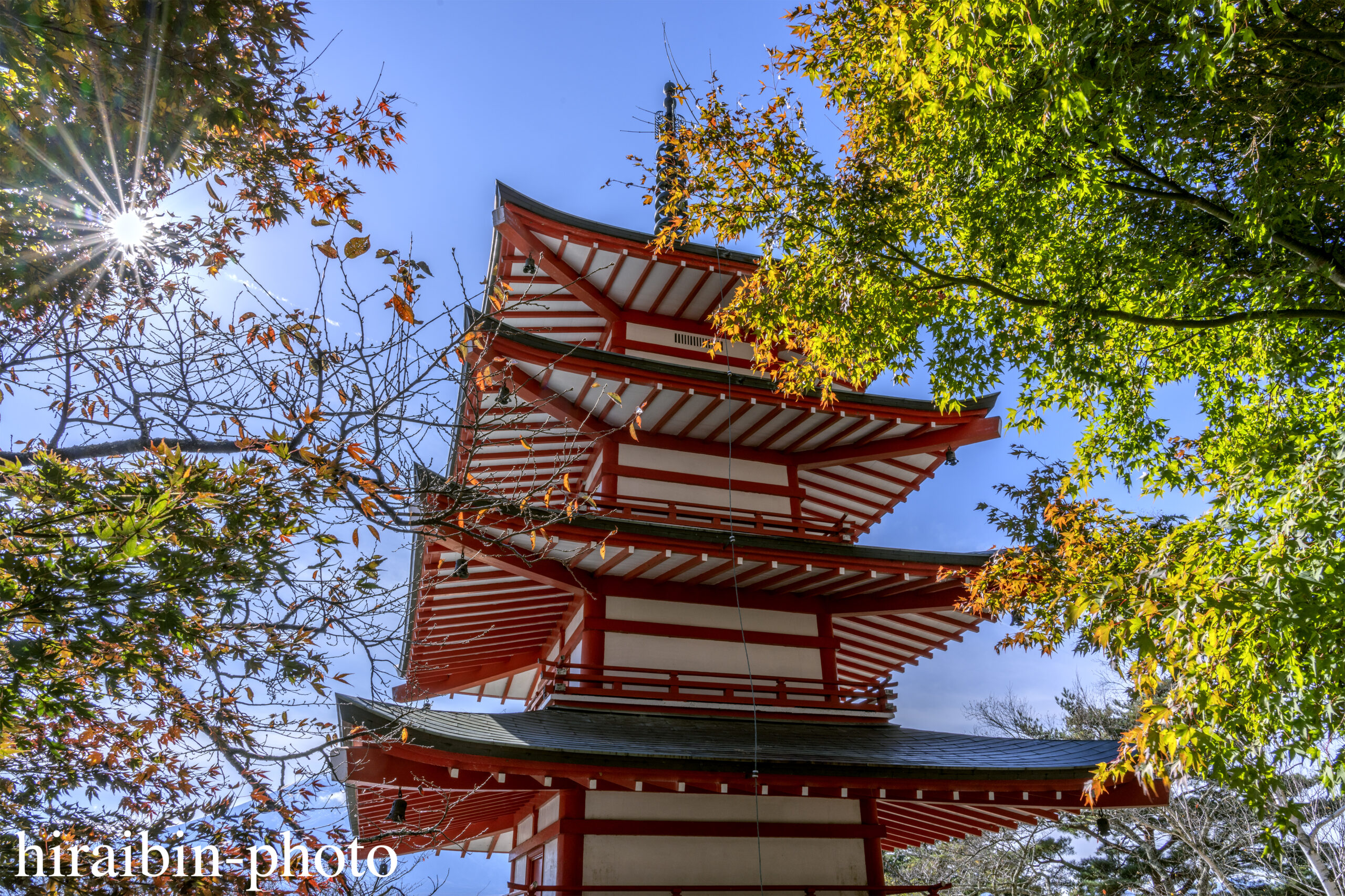 2023.11.16_新倉浅間神社.15