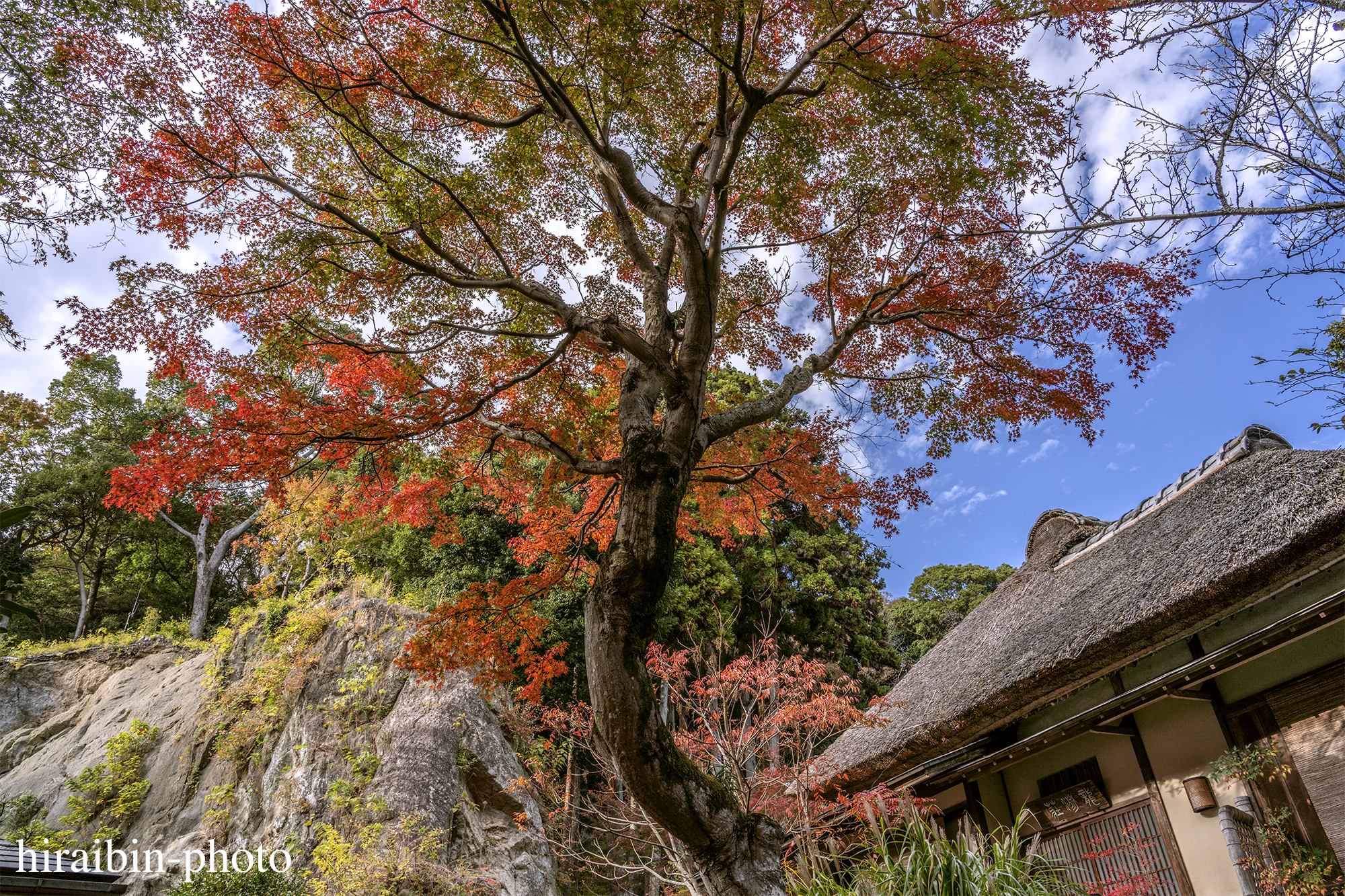 2023.11.23_浄智寺.47