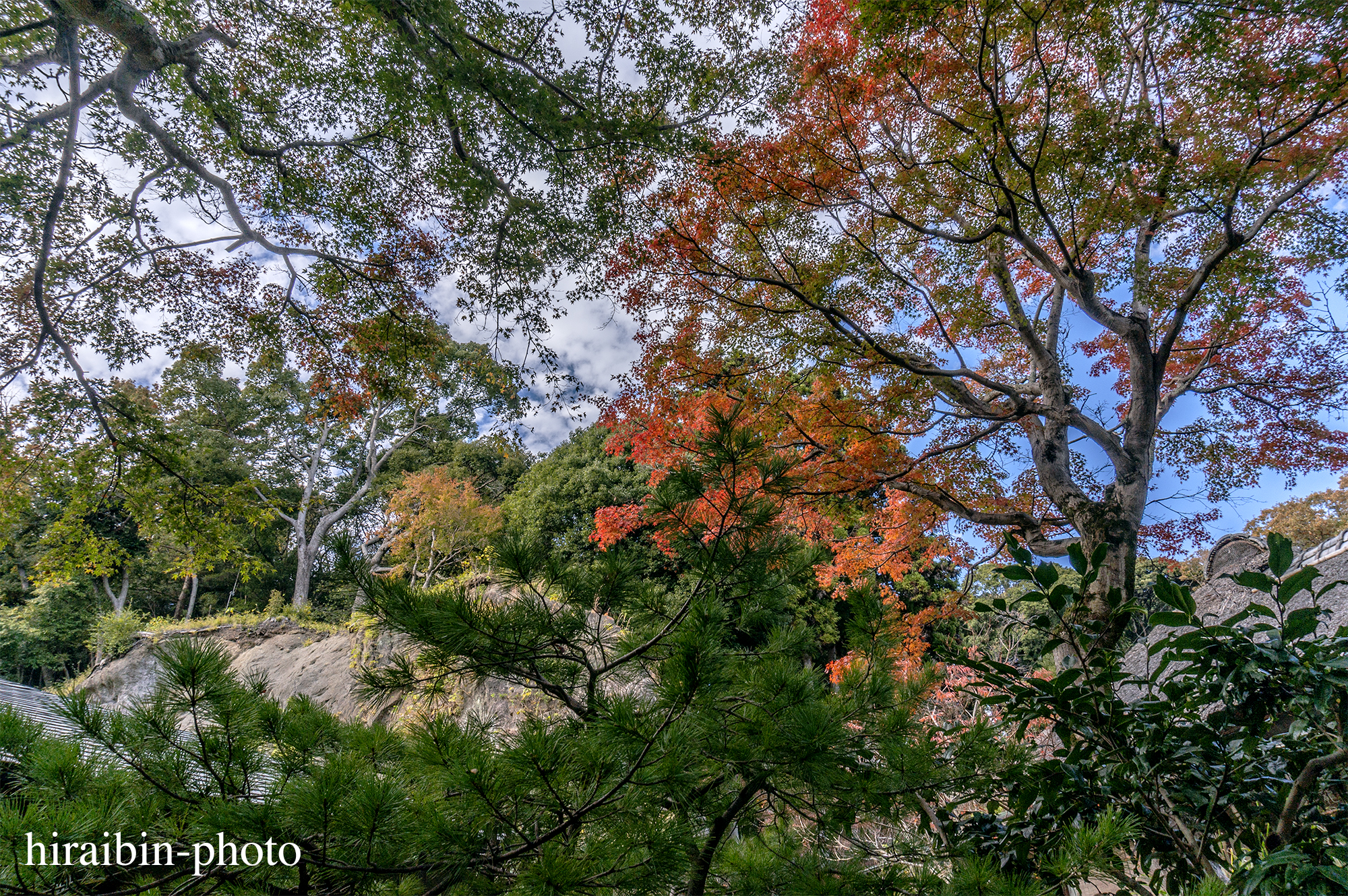 2023.11.23_浄智寺.50