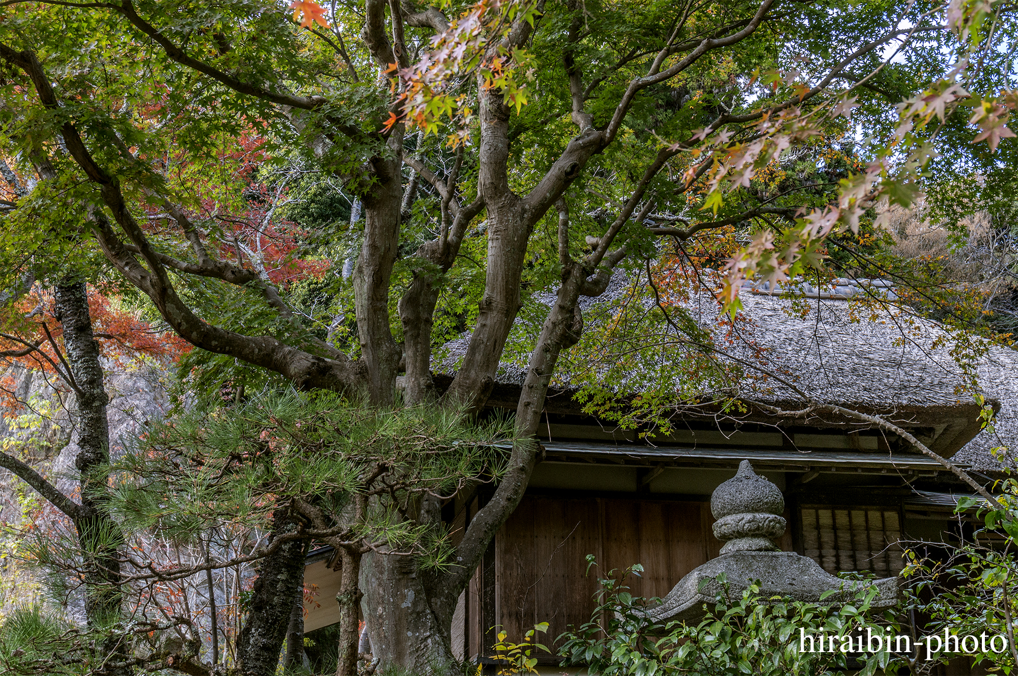 2023.11.23_浄智寺.56