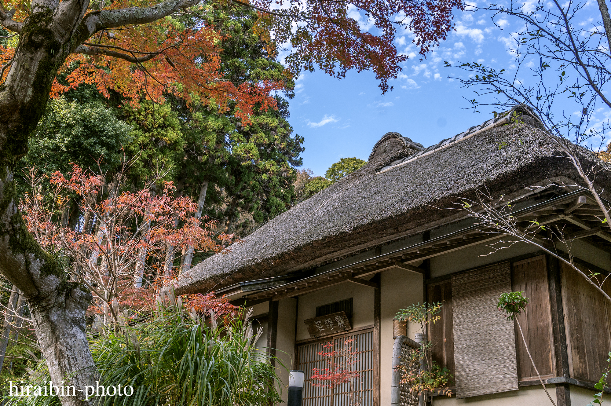 2023.11.23_浄智寺.58