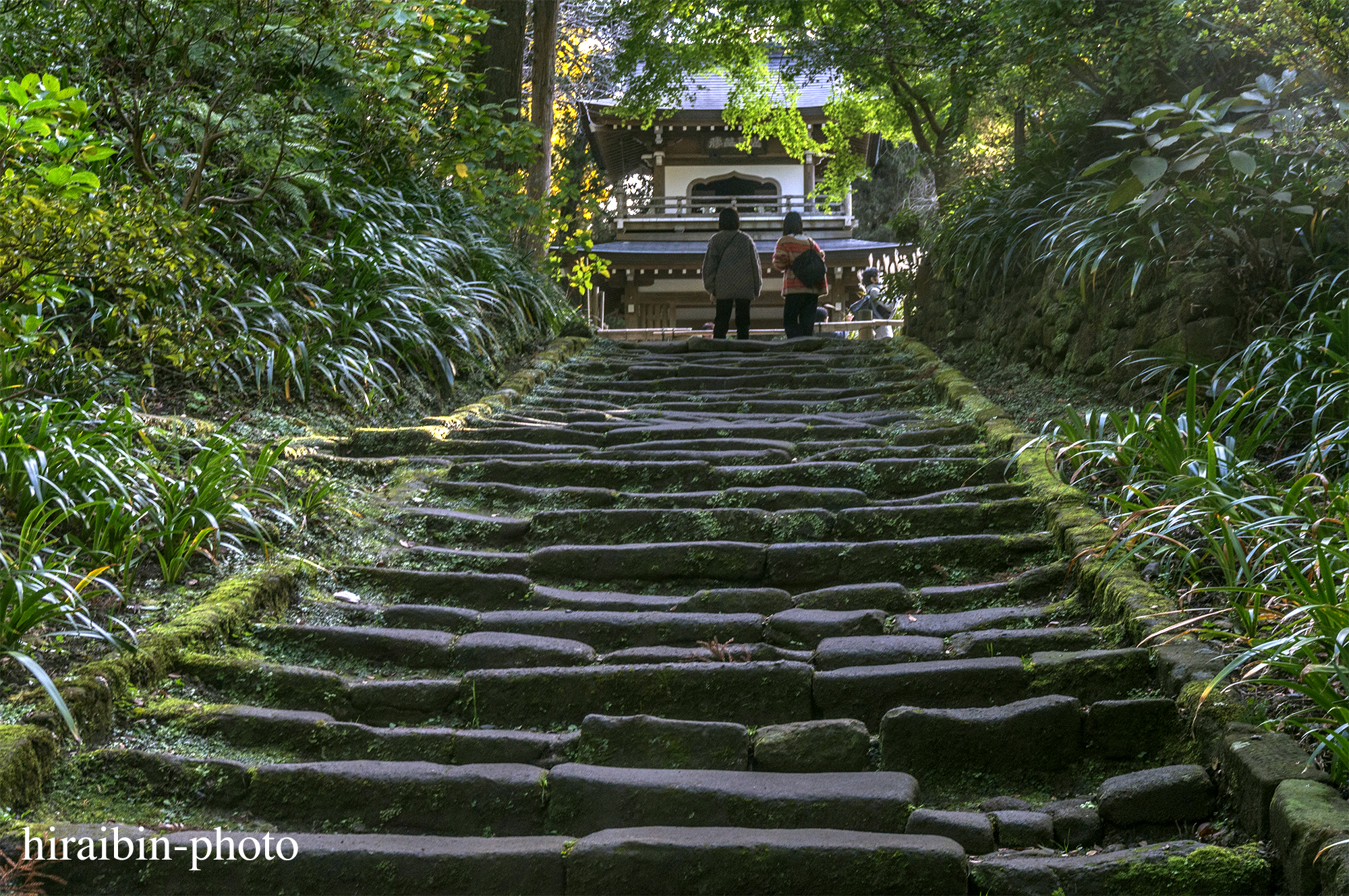 2023.11.23_浄智寺.05