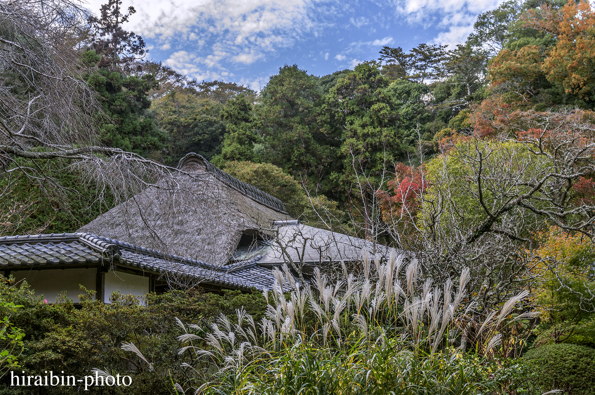 2023.11.23_浄智寺.64