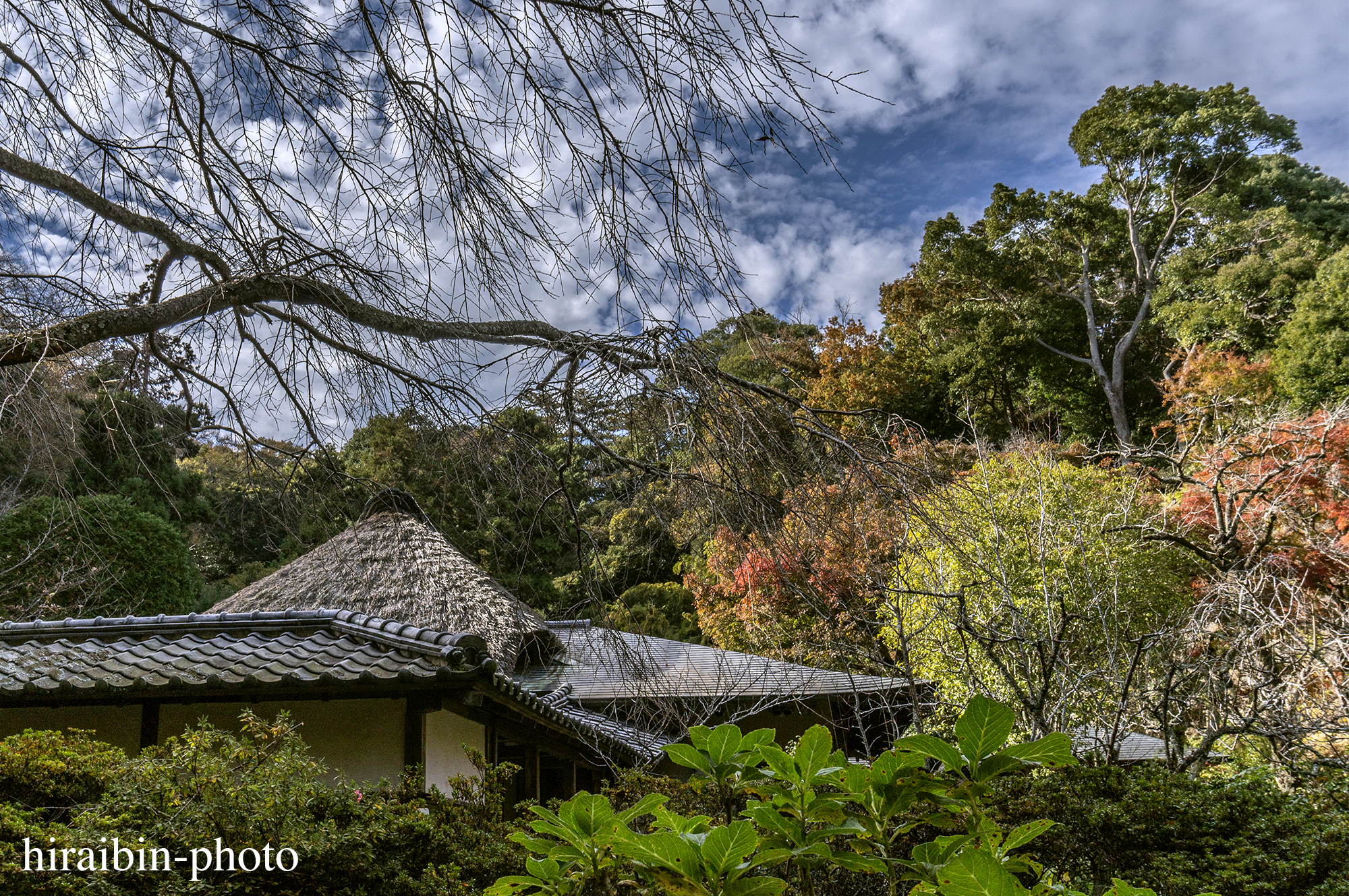 2023.11.23_浄智寺.65