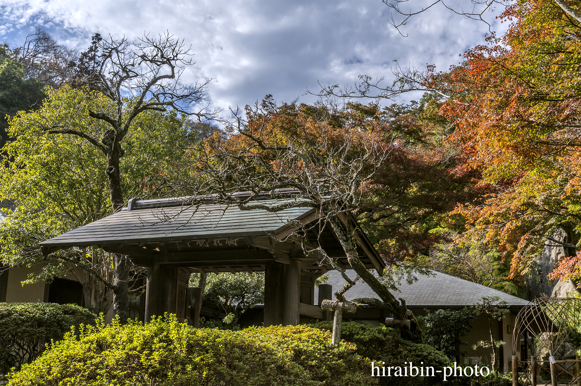 2023.11.23_浄智寺.07