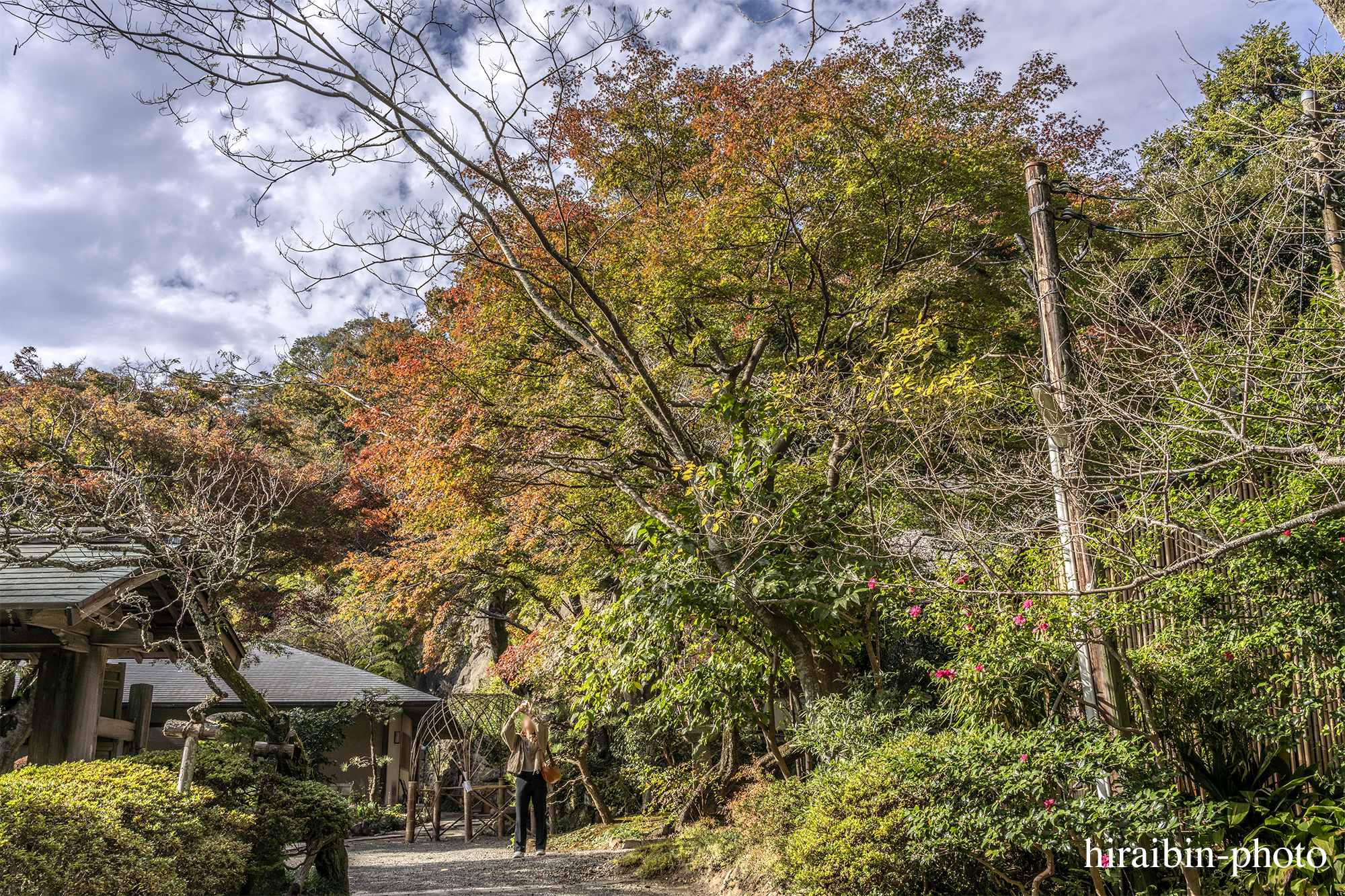 2023.11.23_浄智寺.08a