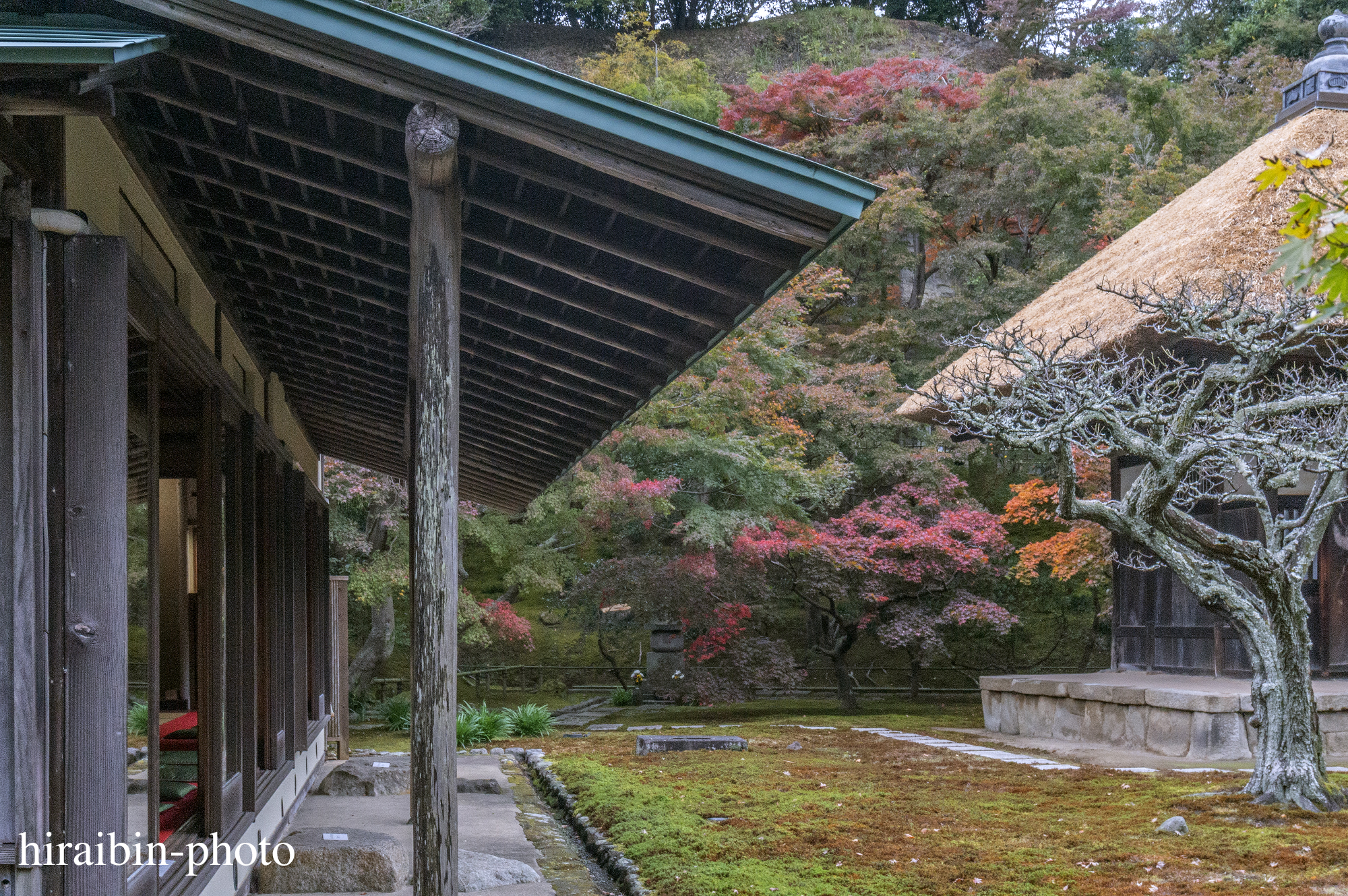 2023.11.23_長寿寺.11