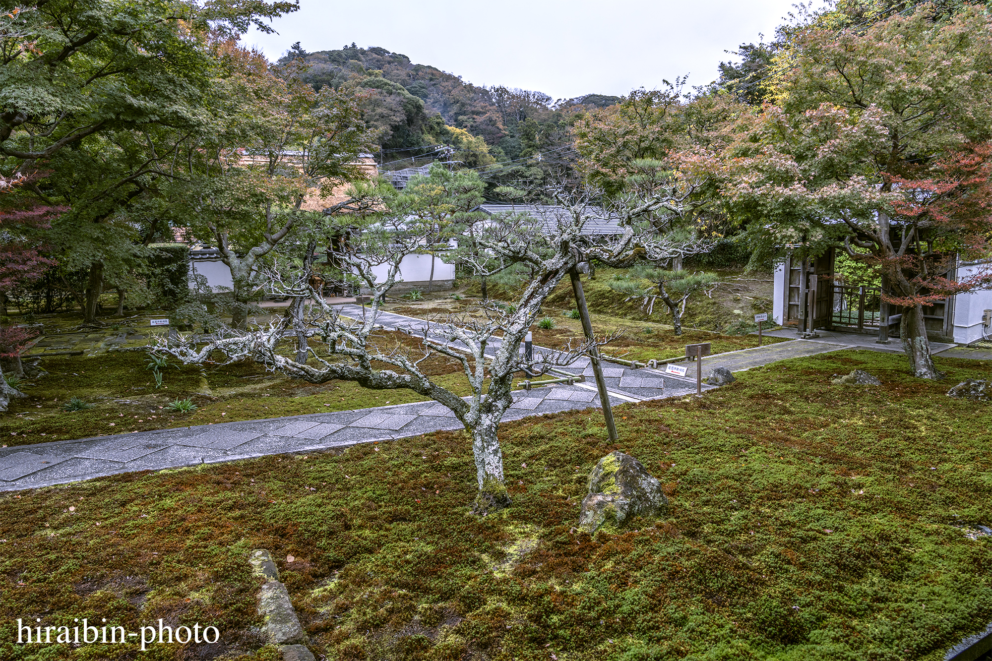 2023.11.23_長寿寺.14