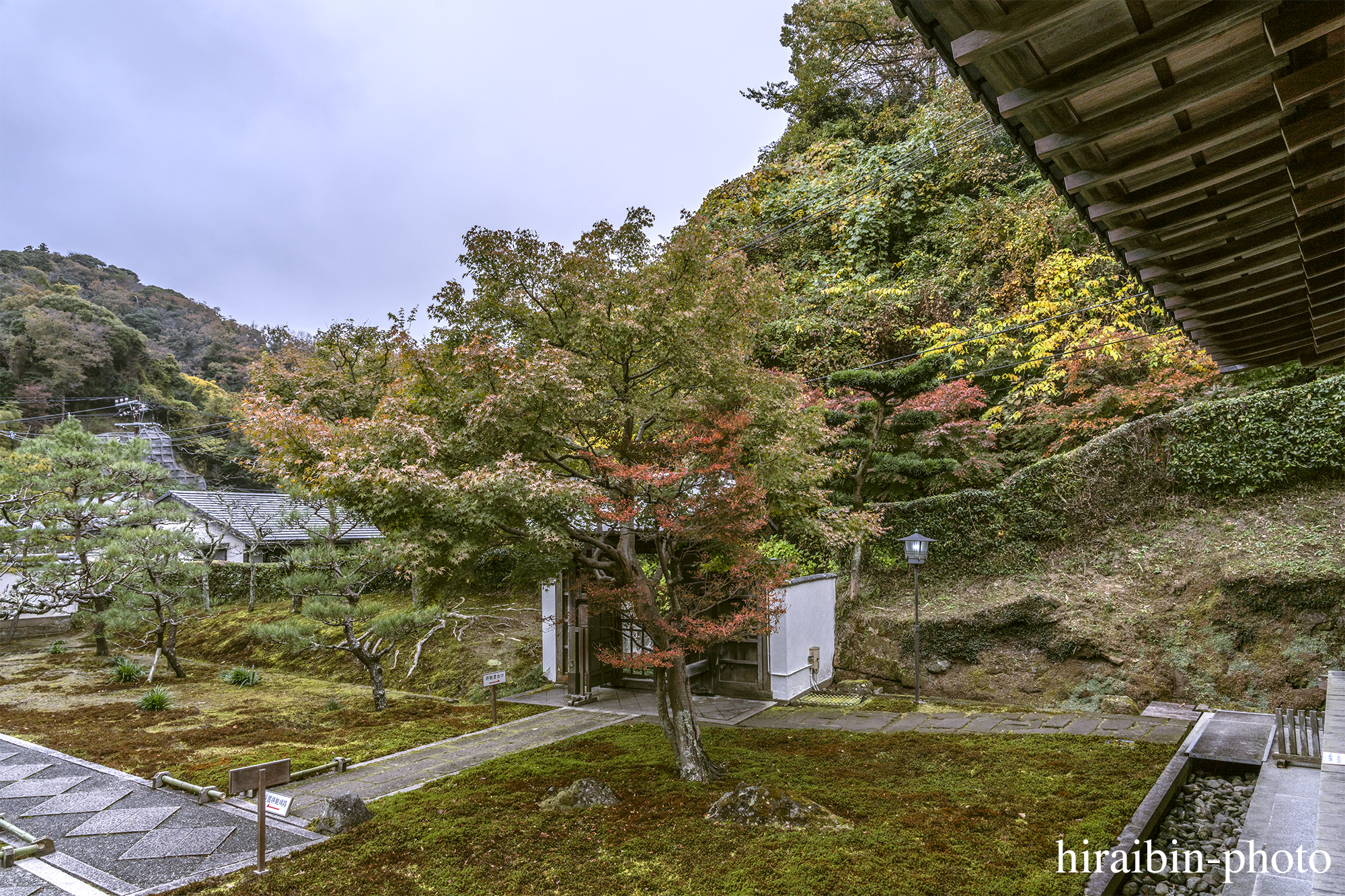 2023.11.23_長寿寺.15