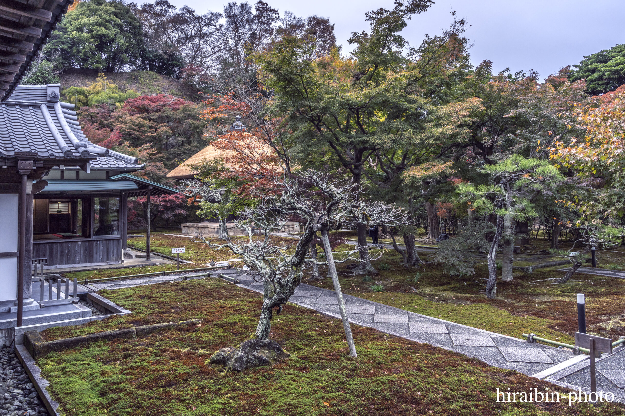 2023.11.23_長寿寺.16