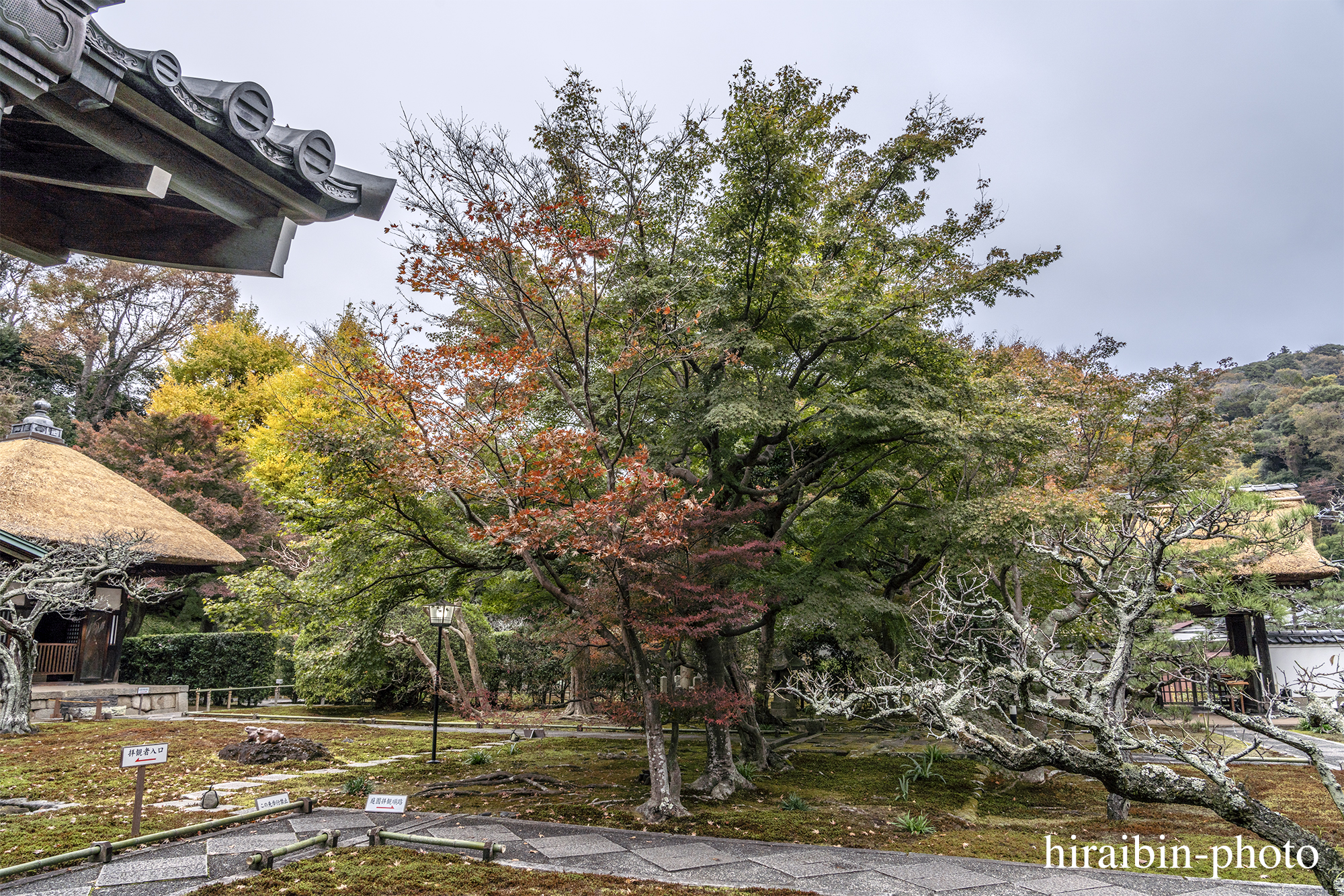 2023.11.23_長寿寺.17