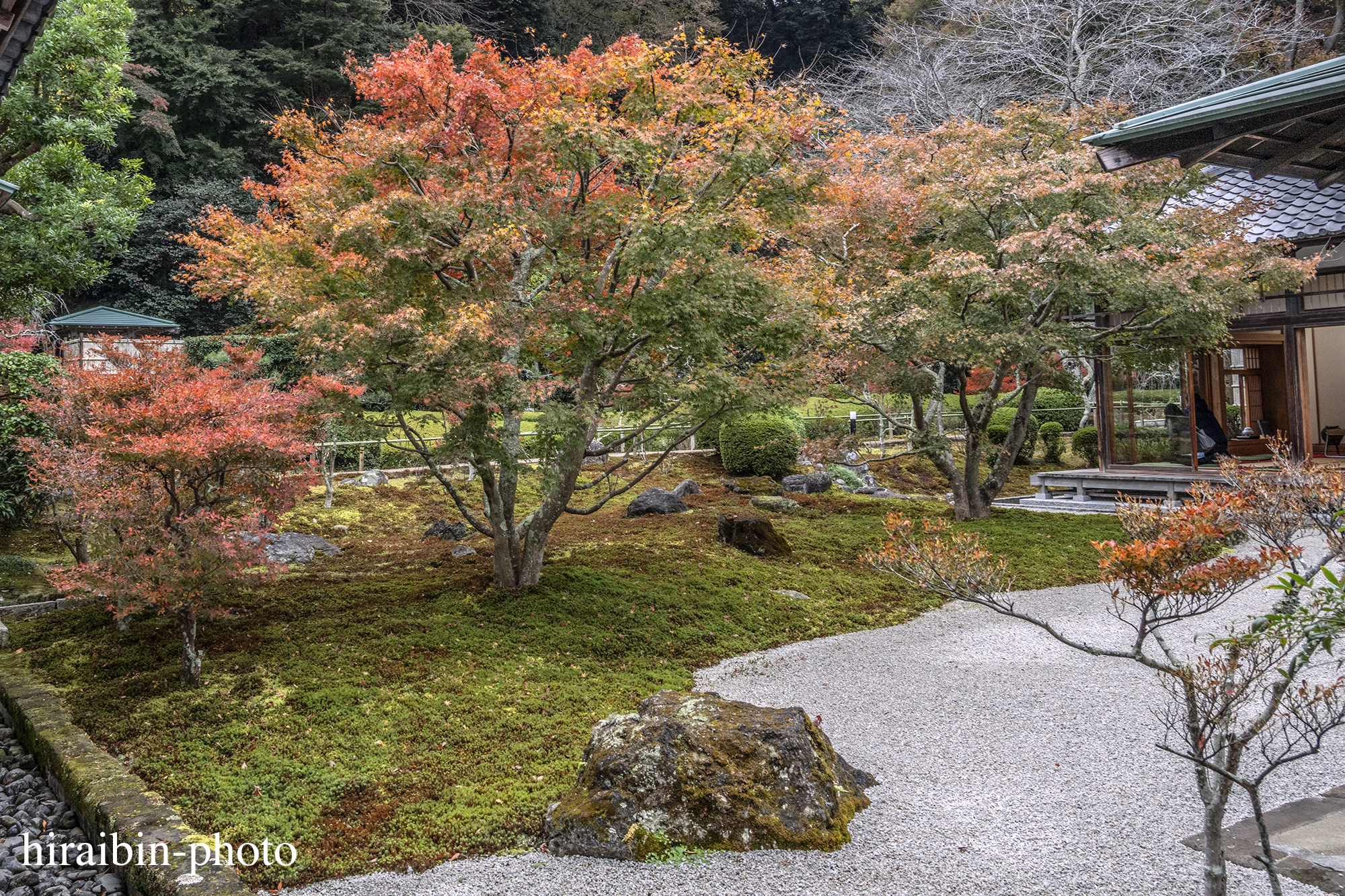 2023.11.23_長寿寺.18