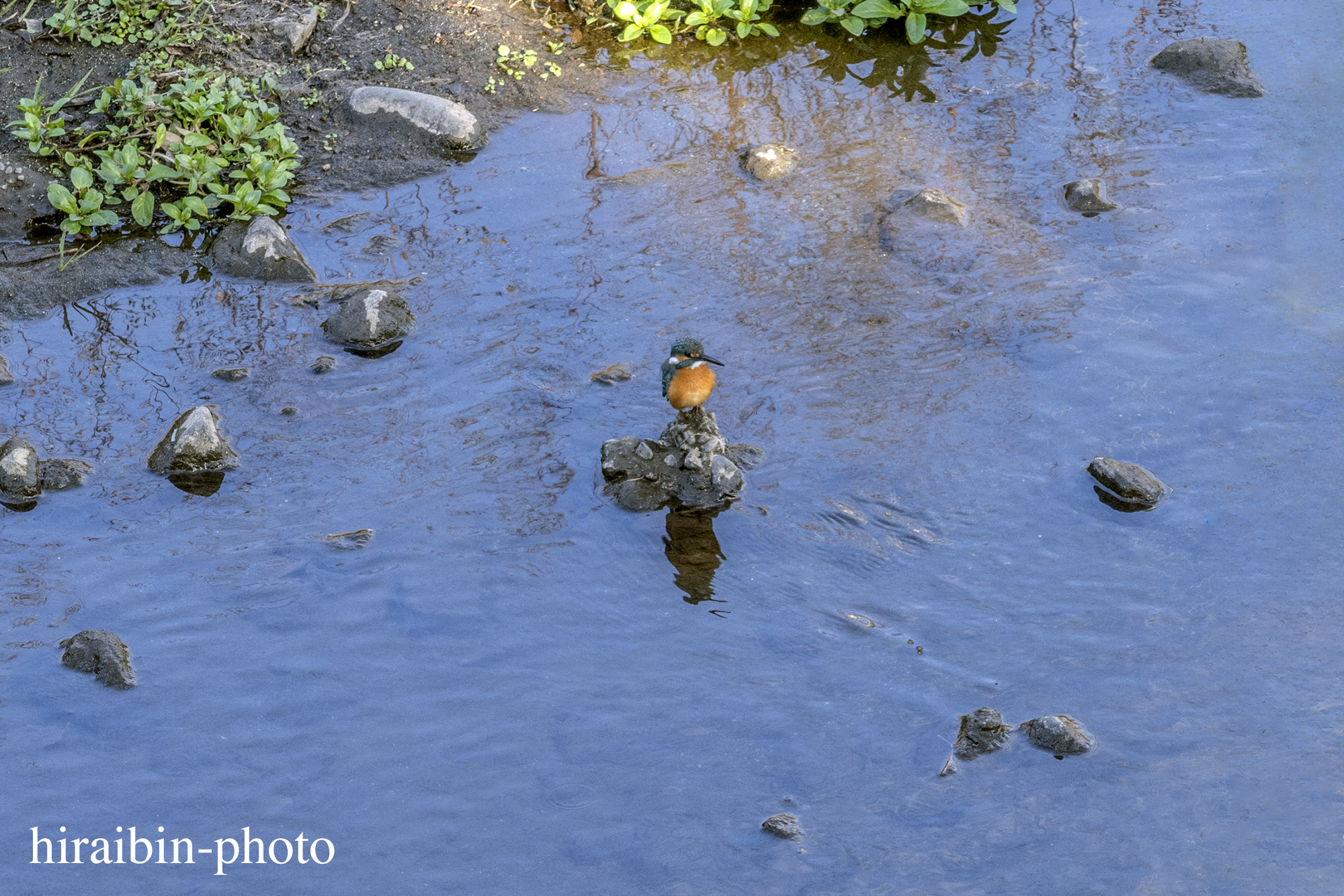 さんぽphotolog.1121-05