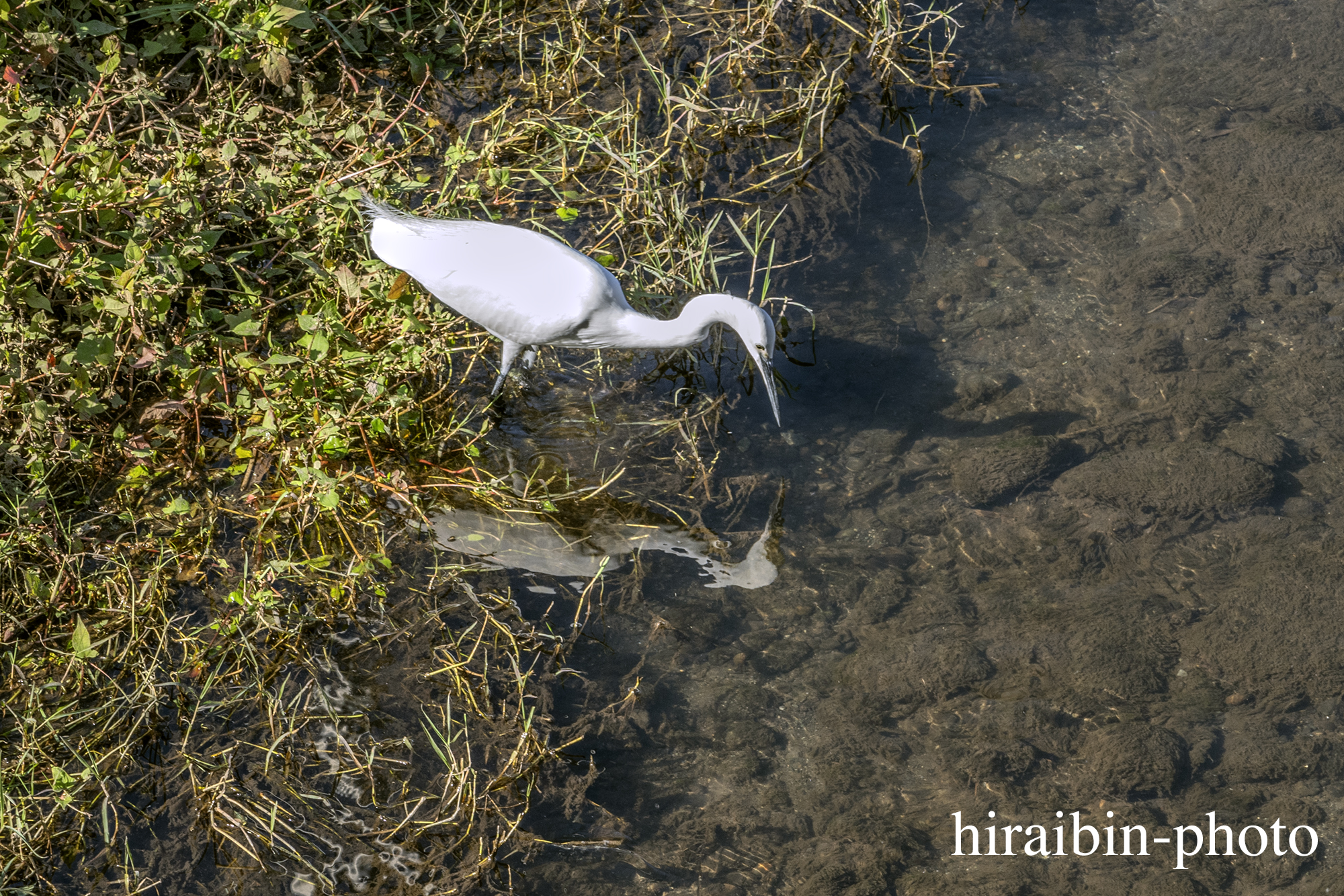 さんぽphotolog.1128-09